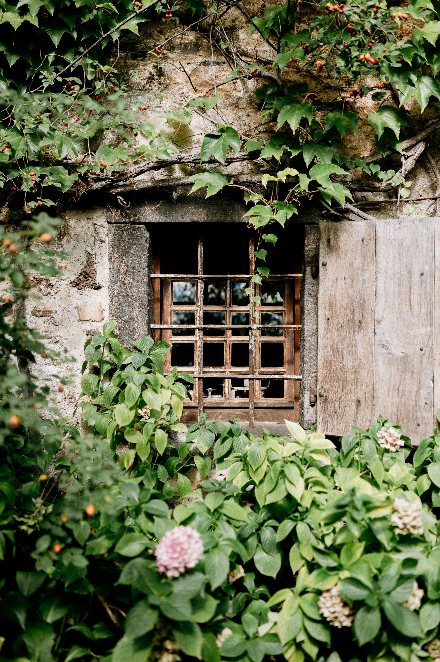Wooden windows and doors set in stone walls covered with climbing vines and roses.