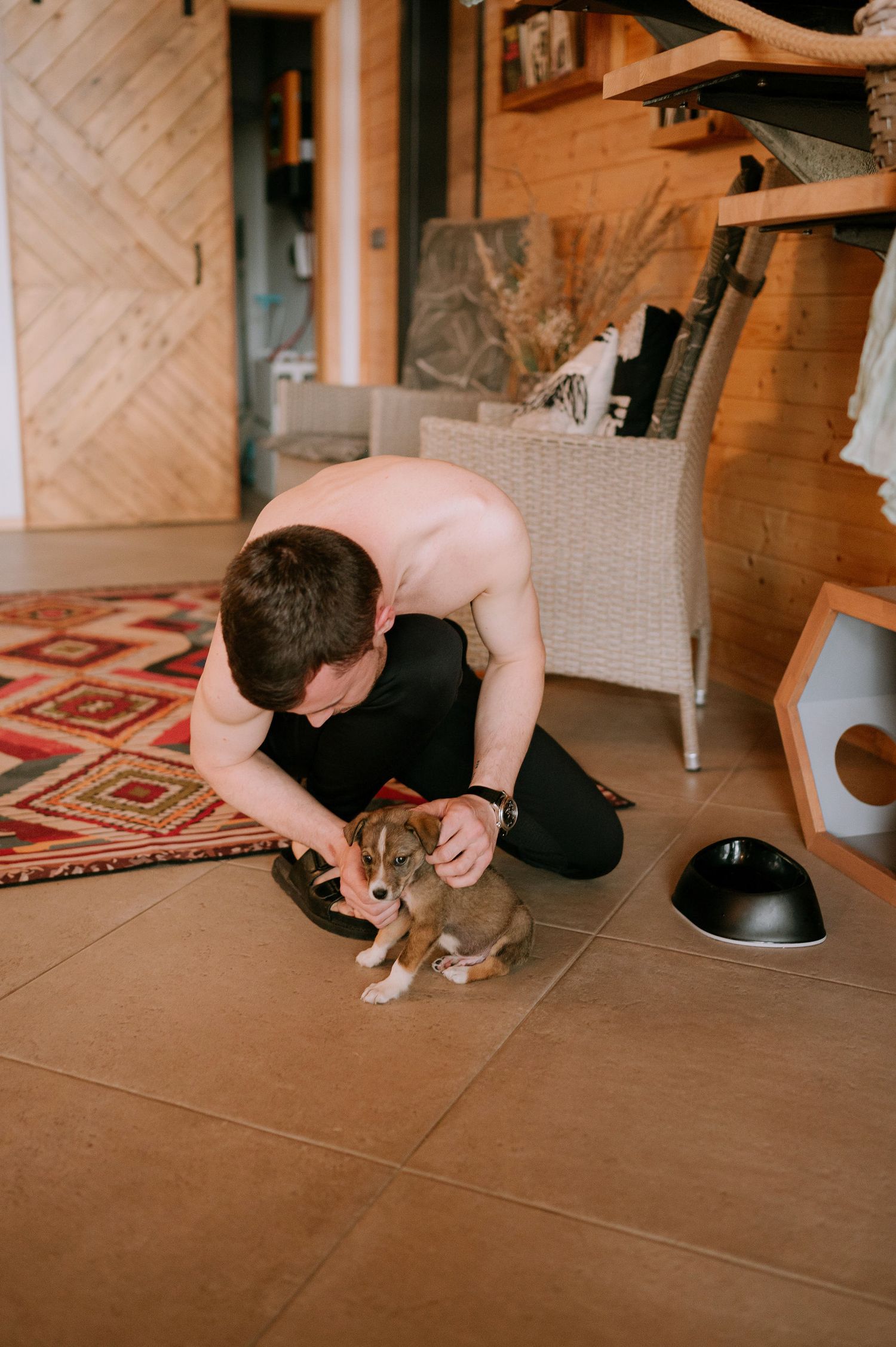 Cat playing on tile floor with geometric patterned rug in wooden room.