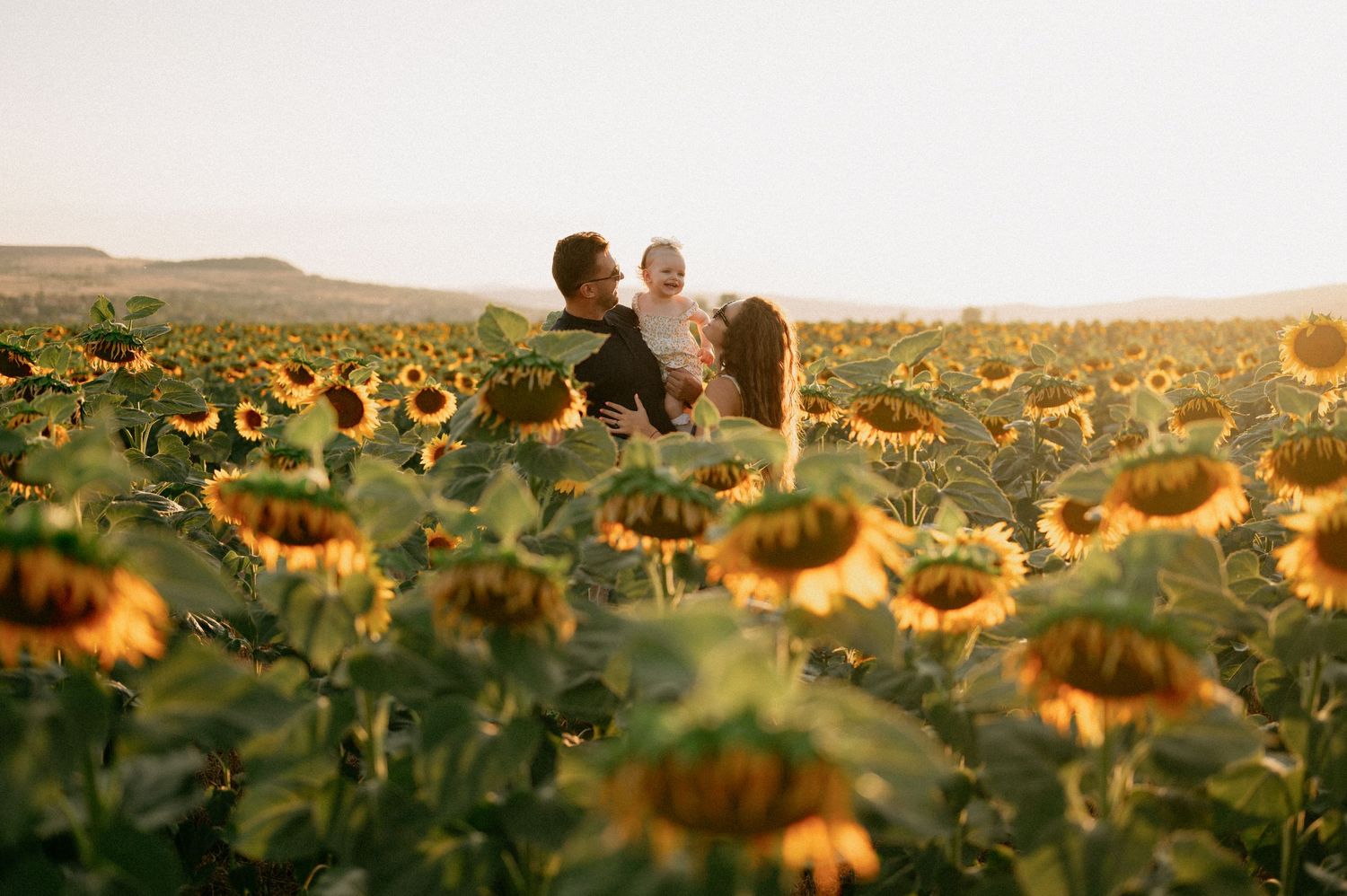 Family with baby enjoying golden hour in a vast sunflower field, surrounded by blooming sunflowers under a warm sky.