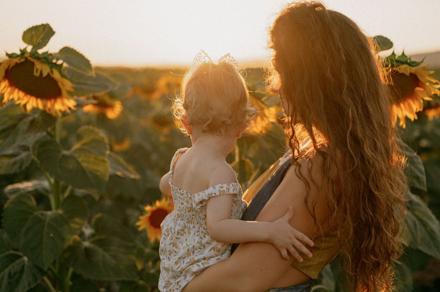 A mother holds her toddler in a golden sunflower field at sunset, both facing away in a tender moment.