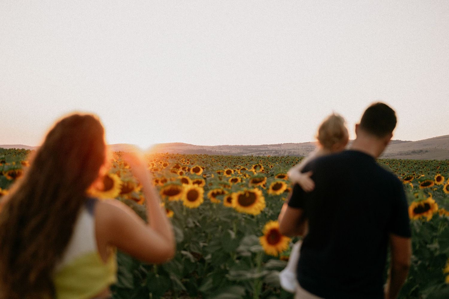 Three people walking through a vibrant sunflower field at golden hour sunset.