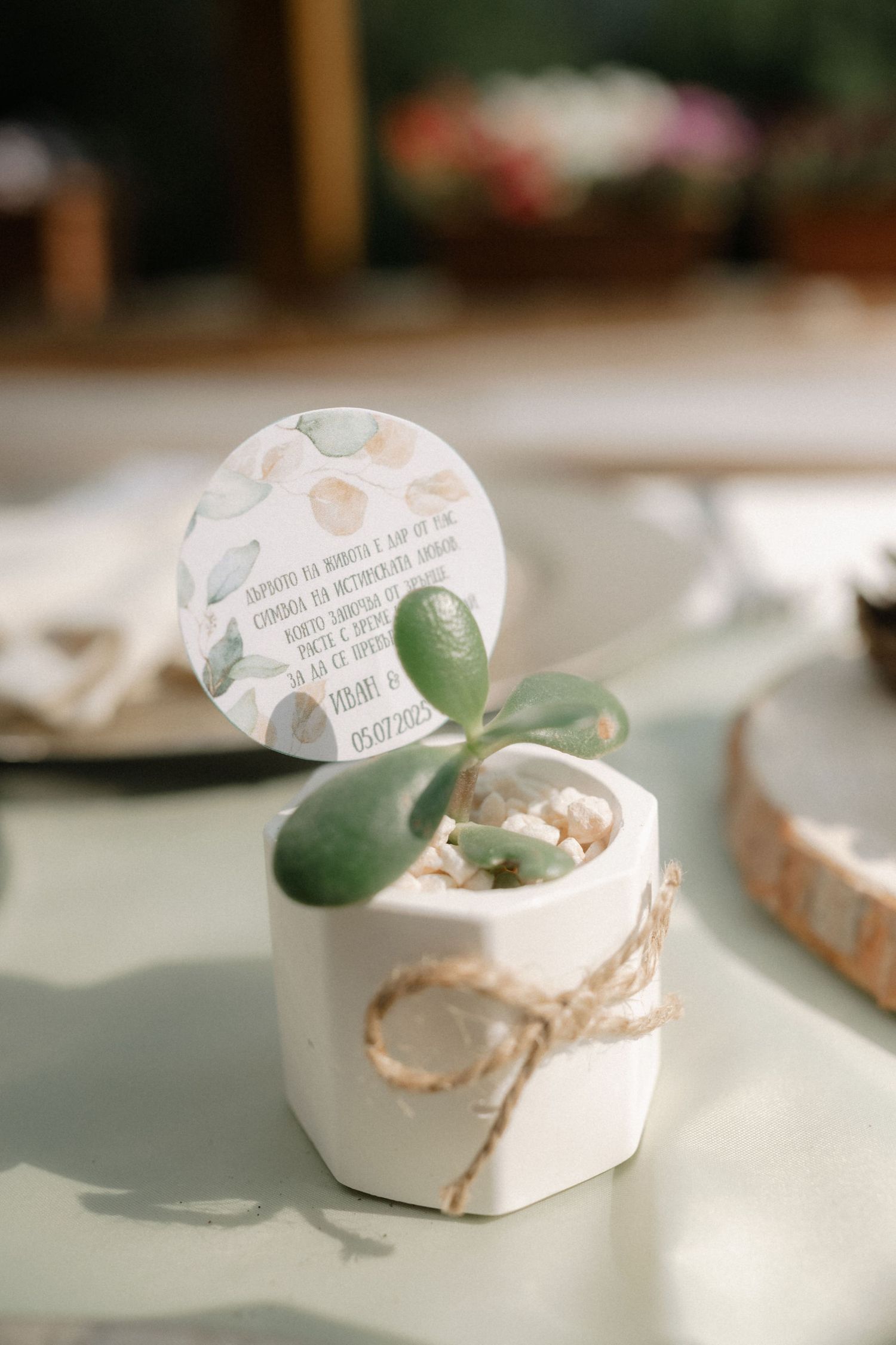 A series of white ceramic or porcelain containers with soft green accents photographed in natural light.
