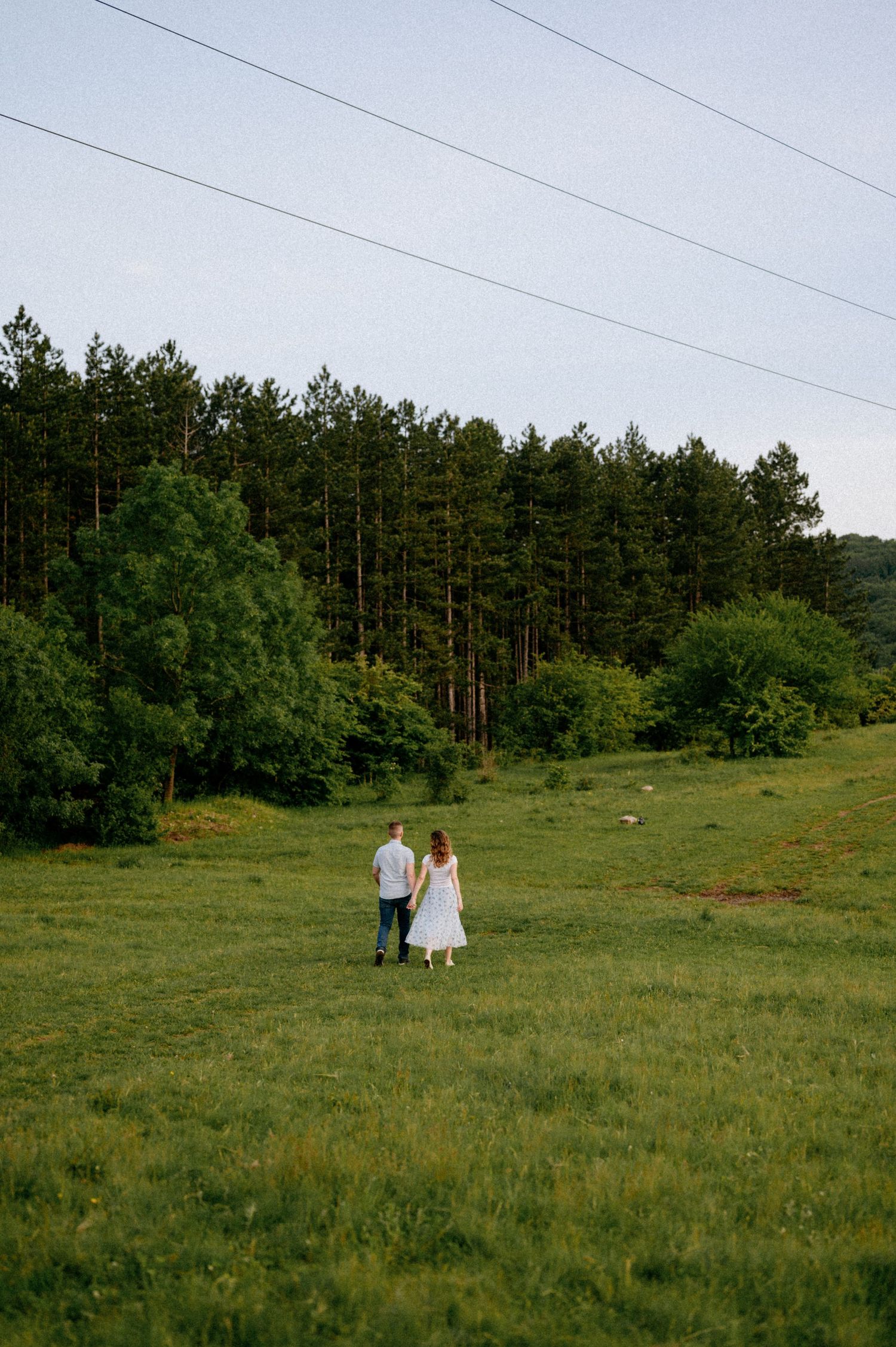 Two people walk through a vast green field with pine trees and power lines in the distance.
