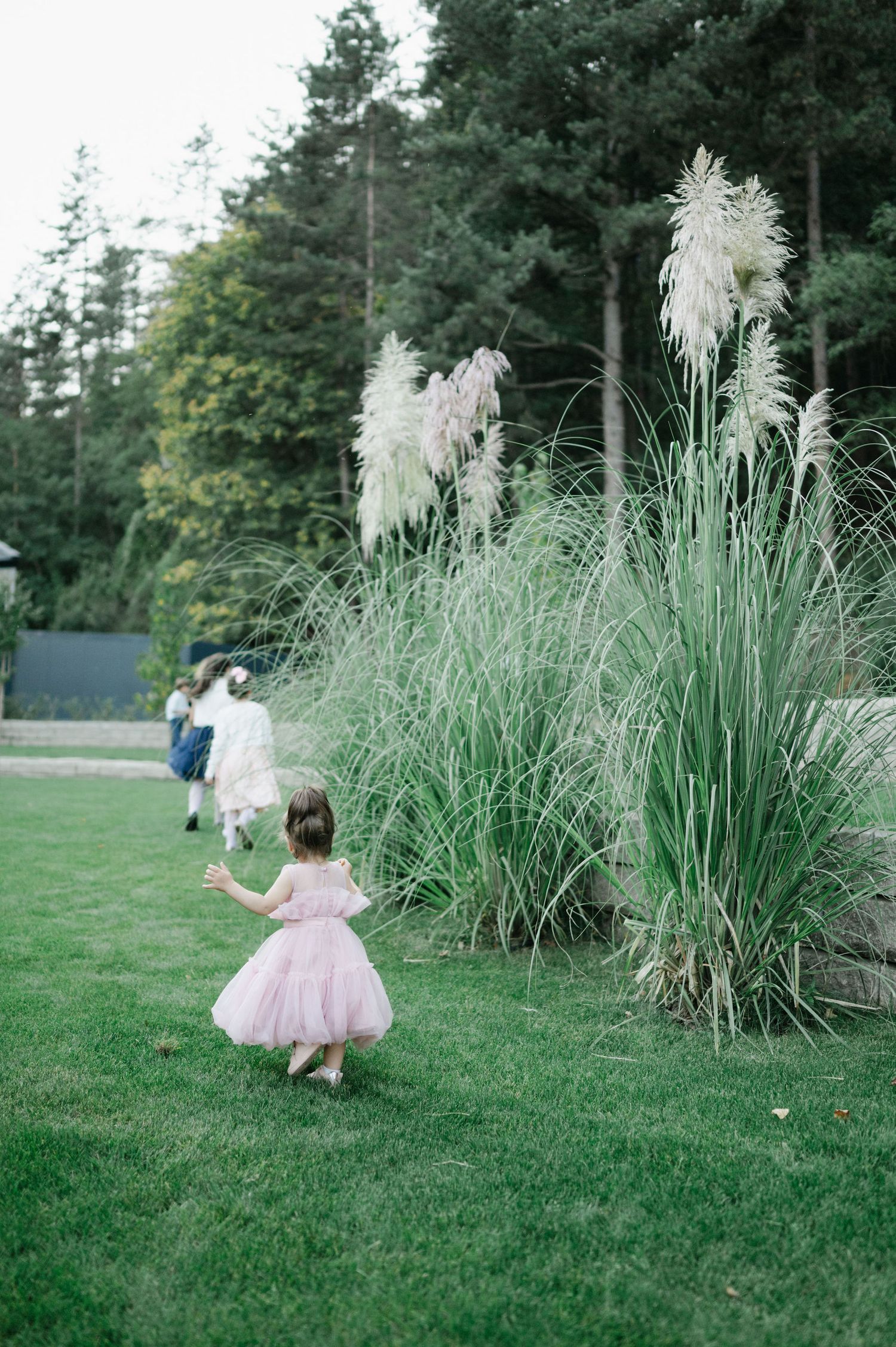 A figure in a pink tulle dress twirls gracefully near ornamental grasses in a garden setting.