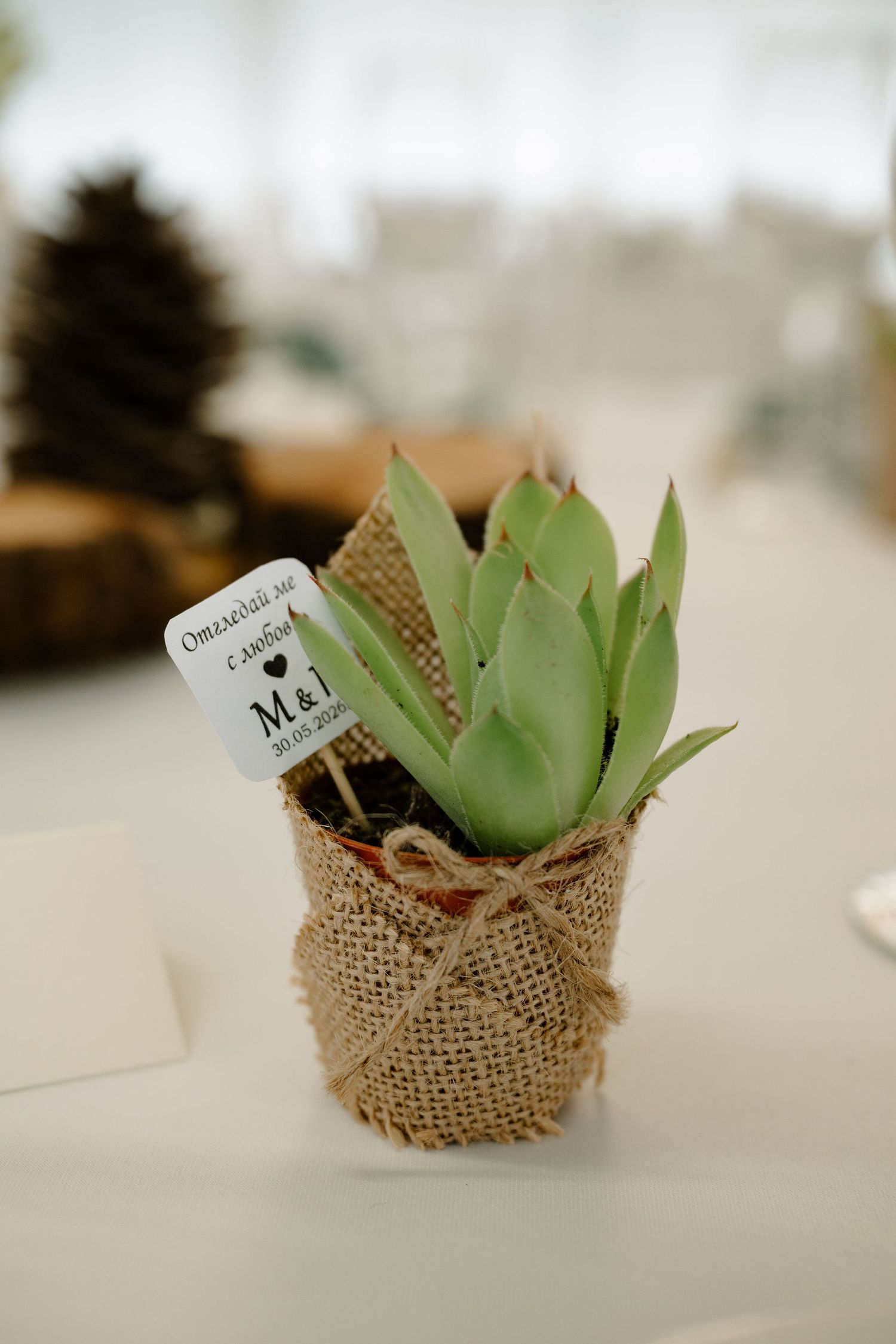 A succulent plant in a burlap-wrapped pot with a personalized wedding favor tag, displayed on a white table.