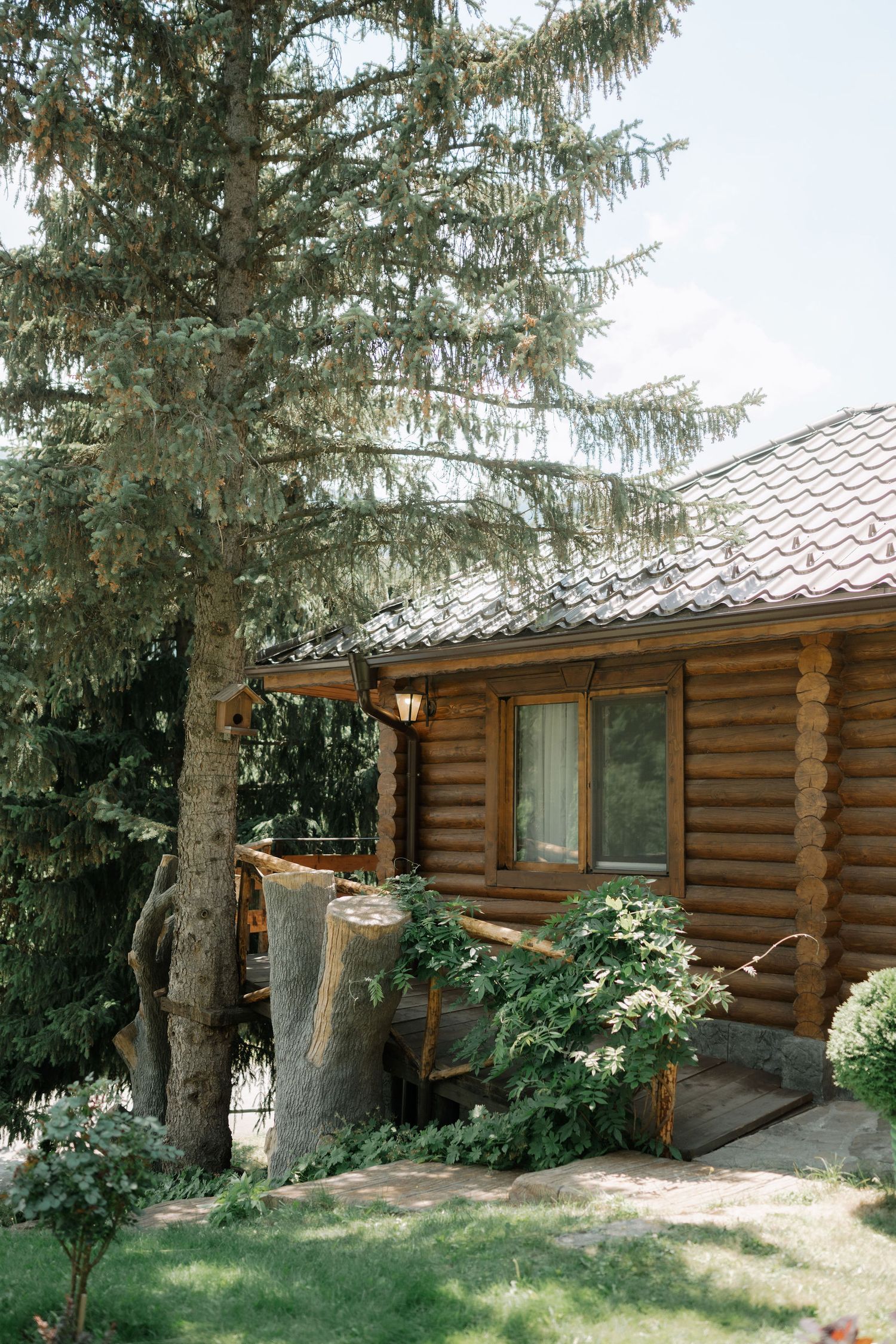 Rustic log cabin exterior with wooden beams and windows nestled among tall evergreen trees in a natural setting.