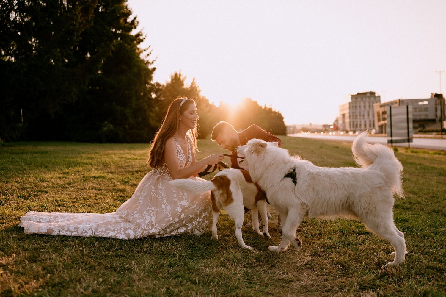 Wedding couple relaxes on grass with their white dogs during sunset.
