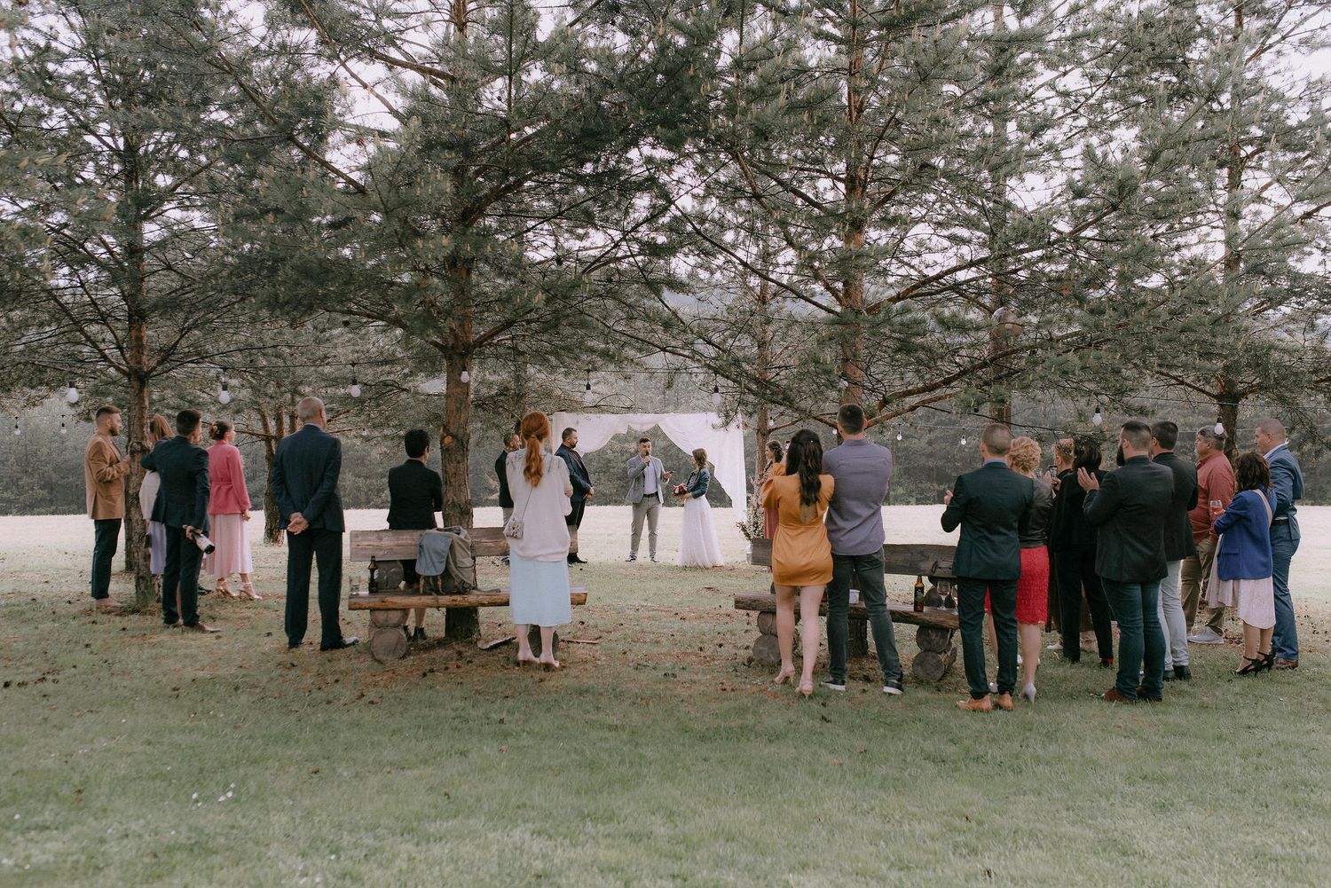 Wedding guests arranged in rows watching ceremony under pine trees in natural setting.