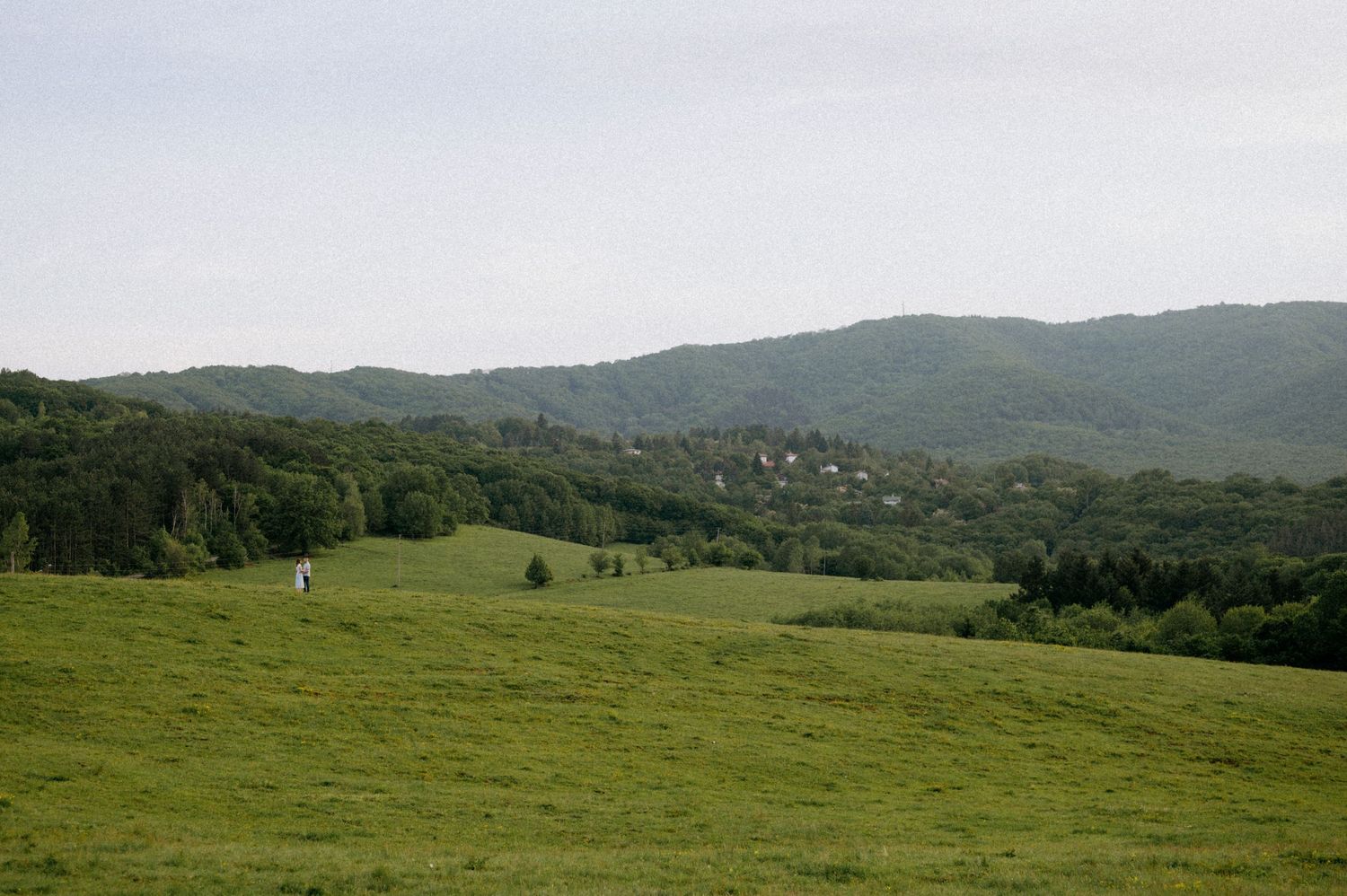 Panoramic view of lush green meadows and forested mountains in summertime.