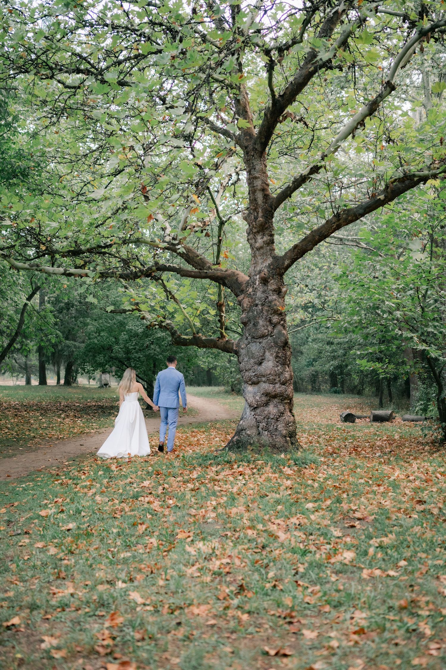 A couple in wedding attire walks through an autumn park with fallen leaves beneath towering trees.