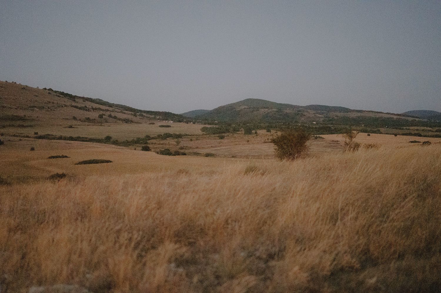 Panoramic view of rolling golden hills with dry grass stretches across a rural landscape under an overcast sky.