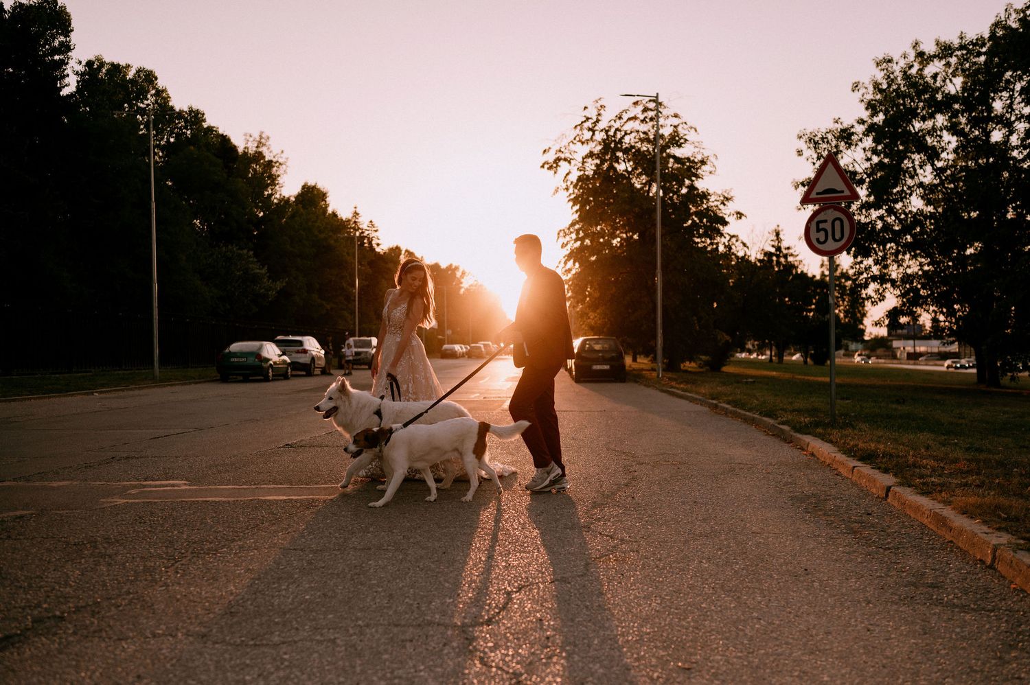 Silhouettes of a couple and their dog walking together at sunset on a path.