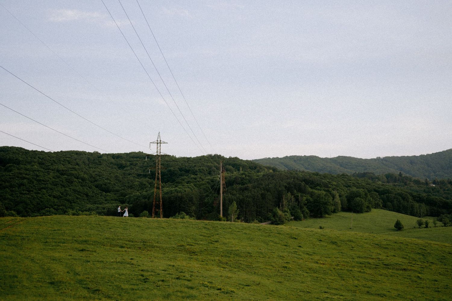 Sweeping vista of power lines crossing an undulating green landscape with distant forests.