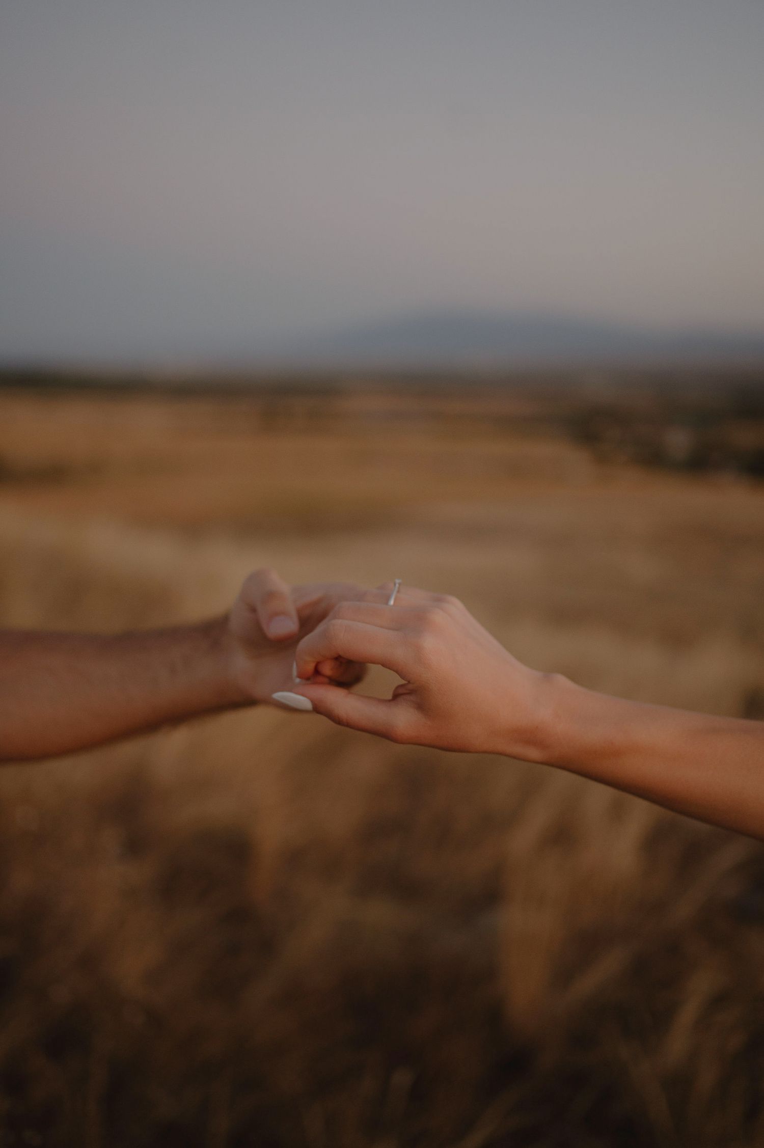Two hands reaching towards each other against a blurred desert landscape background at sunset.