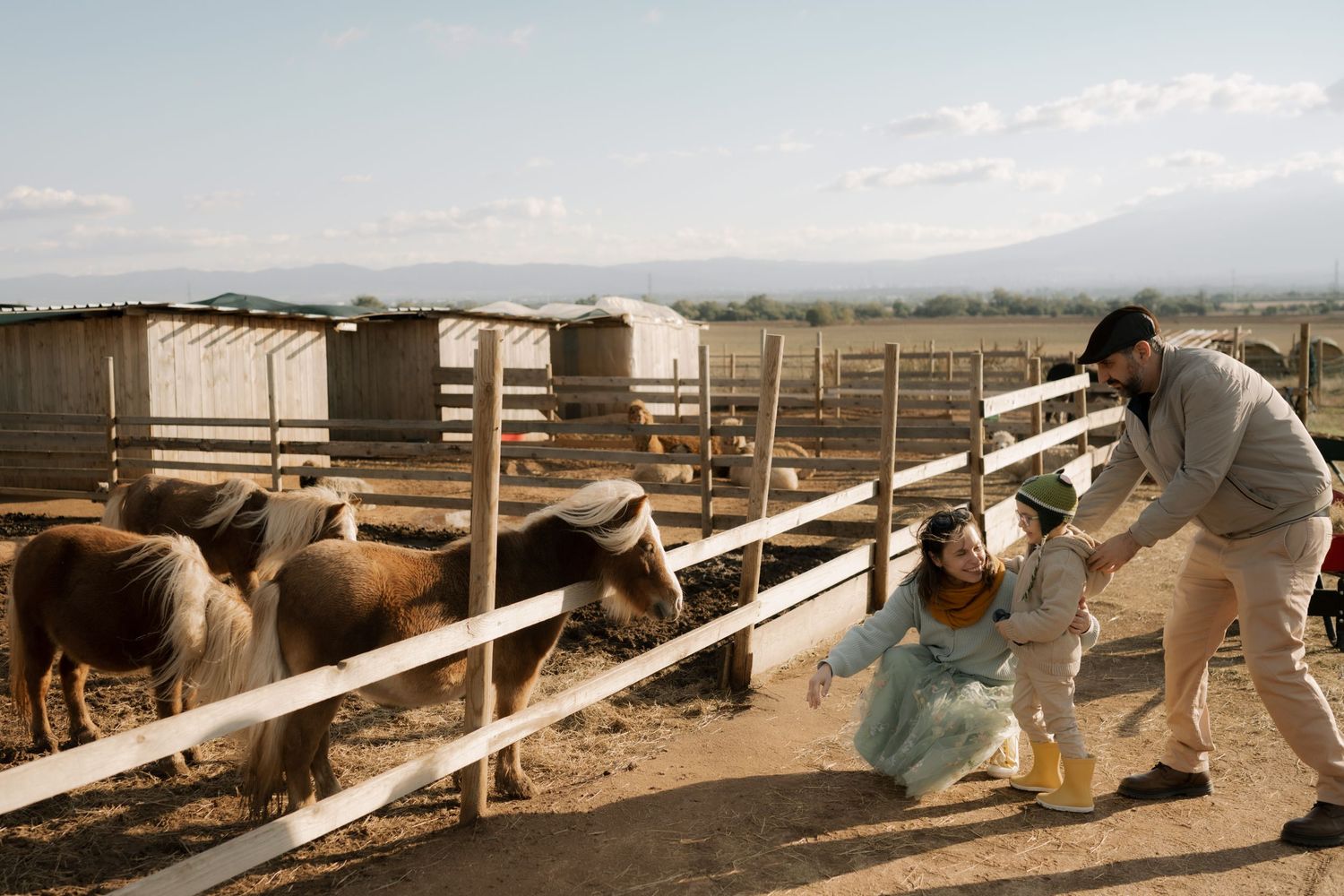People working with horses at a ranch facility, performing various training and handling tasks in outdoor corrals.
