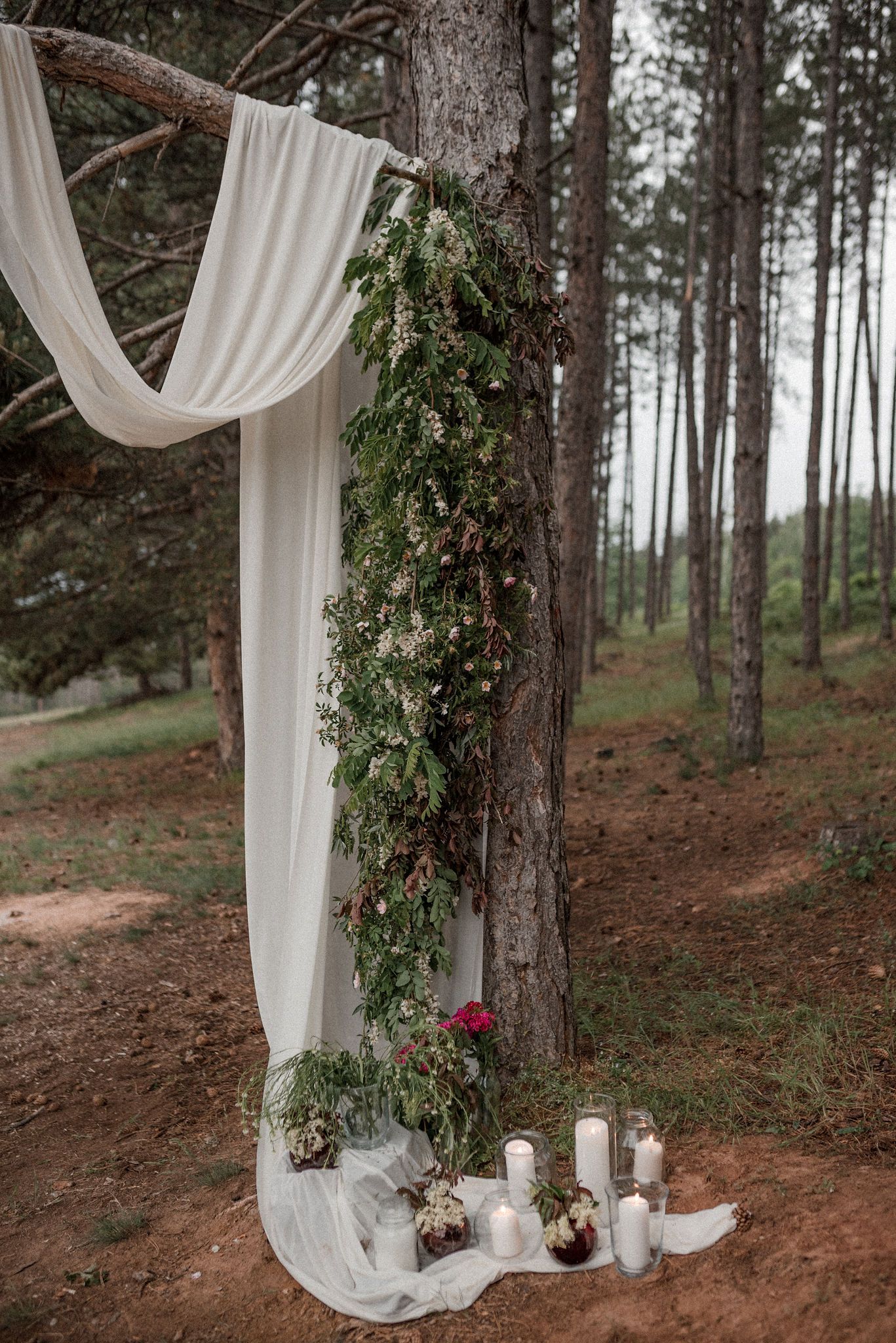 White fabric drapes and greenery garlands create an elegant woodland wedding arch setting among tall pine trees.