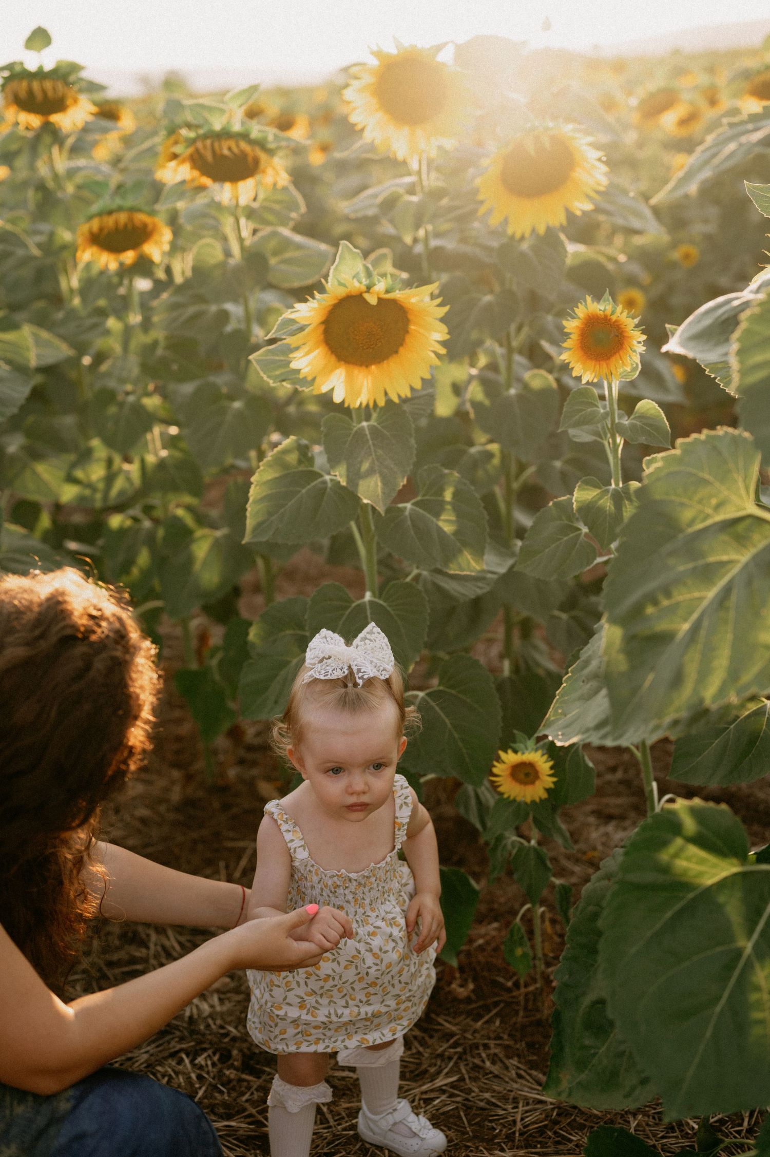 A mother and toddler girl in a floral romper stand among tall sunflowers in a golden sunlit field.