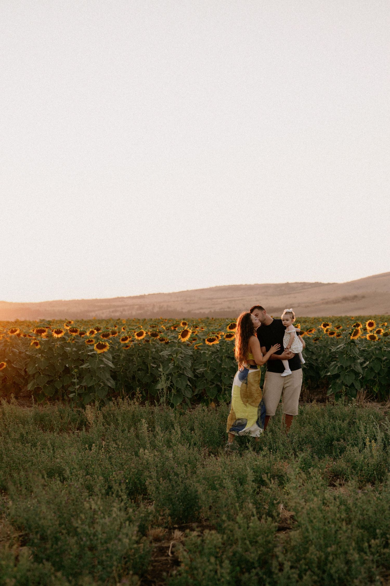 A couple embraces in a sunflower field at golden hour, holding a baby, with rolling hills in the background.