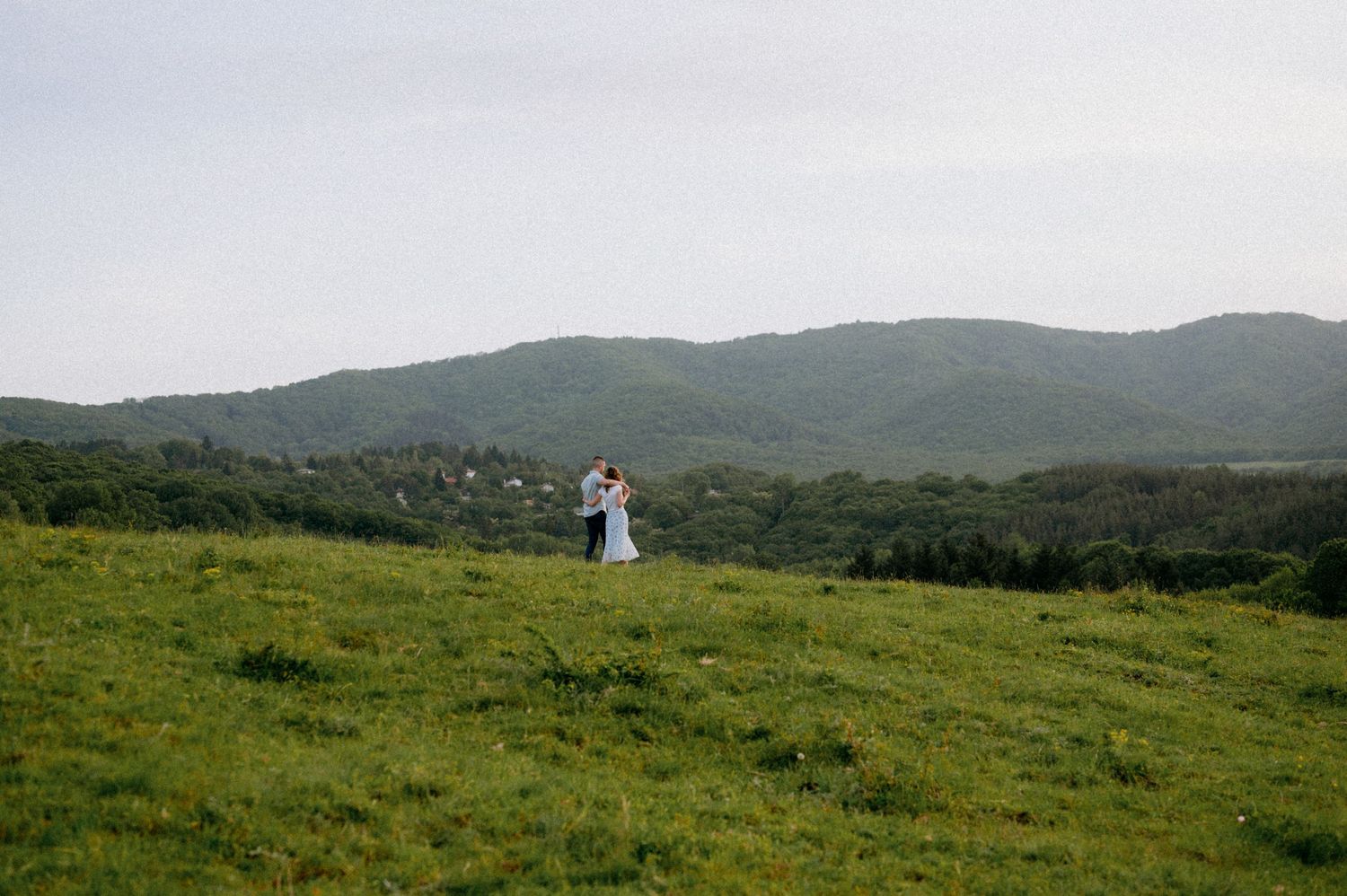 Wide angle view of grassy hillside with mountains and forest in the background.