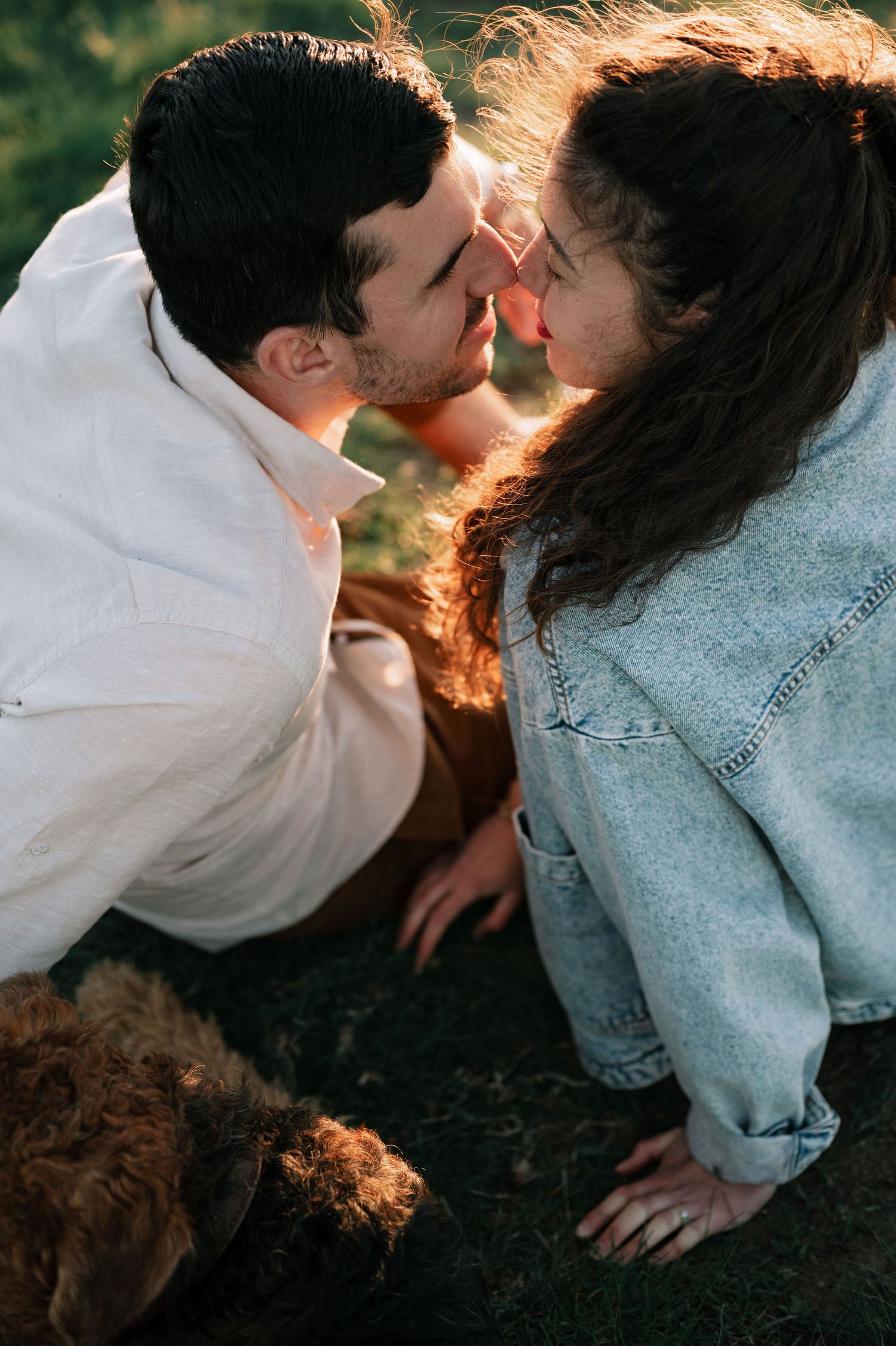 Two people embrace in a field bathed in warm sunlight with their hair gently blowing in the breeze.