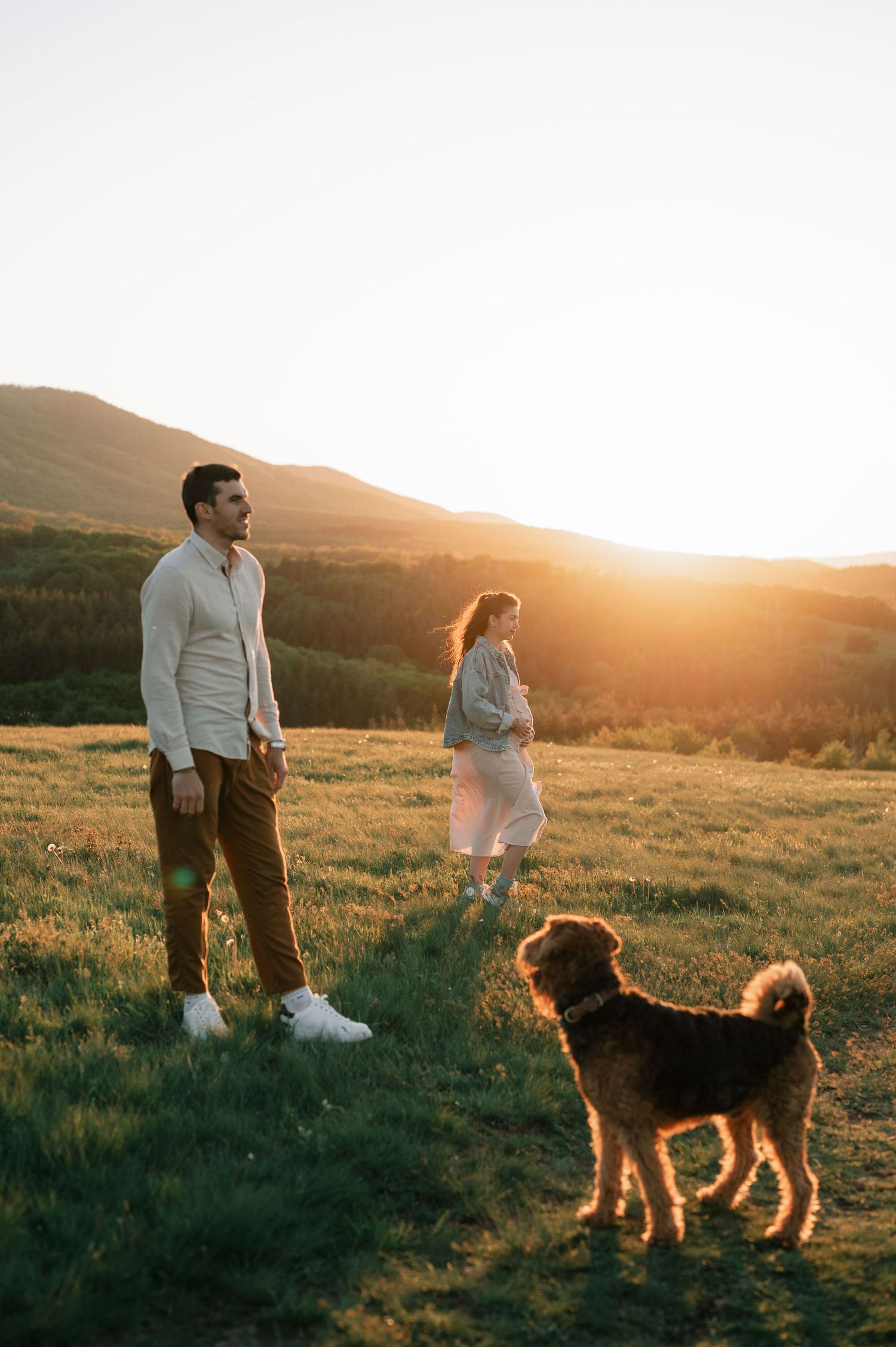 A couple walks their dog in a golden meadow at sunset while enjoying the peaceful mountainous landscape.