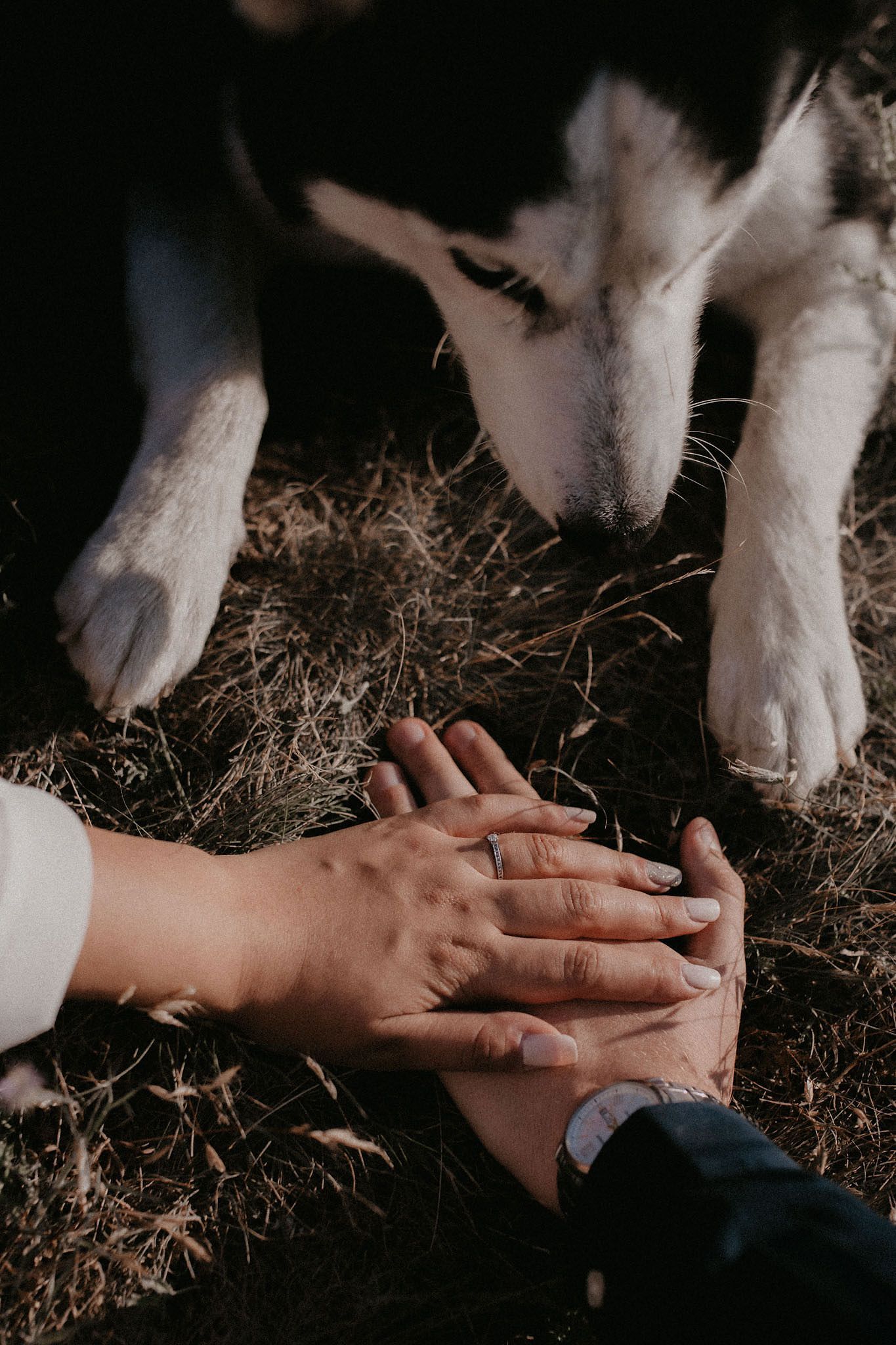 Close-up of hands gently touching on textured natural surface with soft lighting.