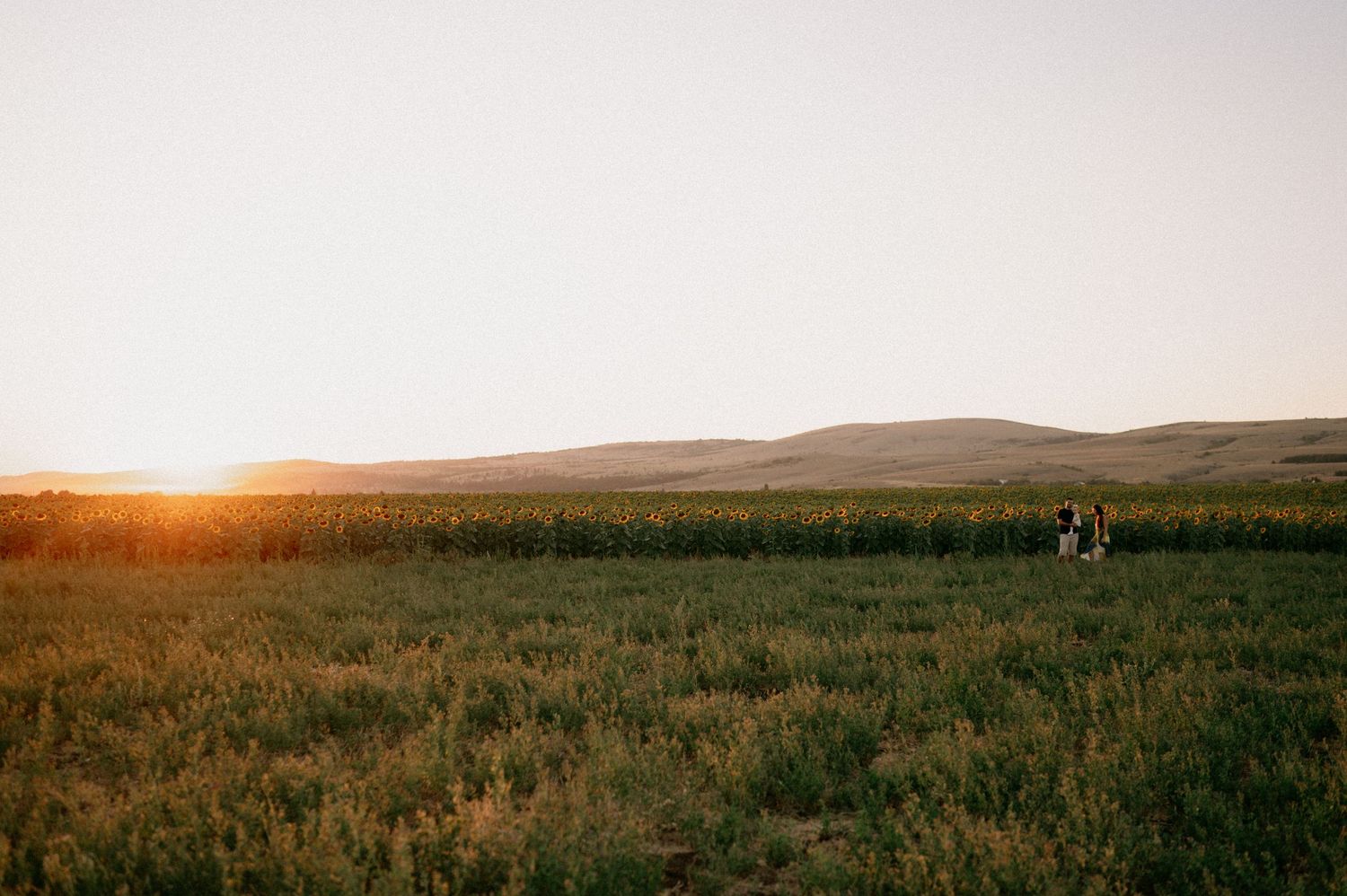 Golden sunset over a vast green field with rolling hills and two people standing in the distance.