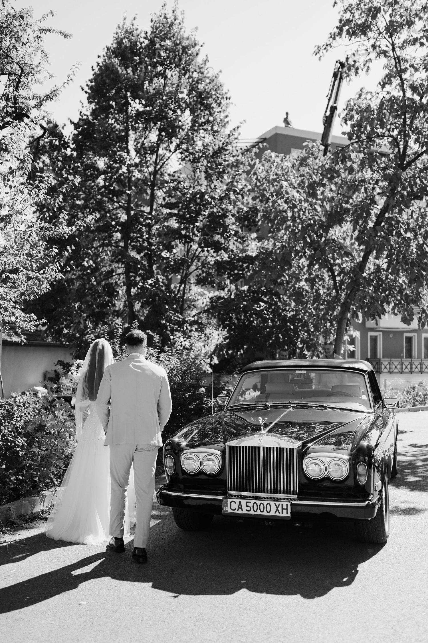 Classic vintage cars parked outside during a wedding with trees in background.