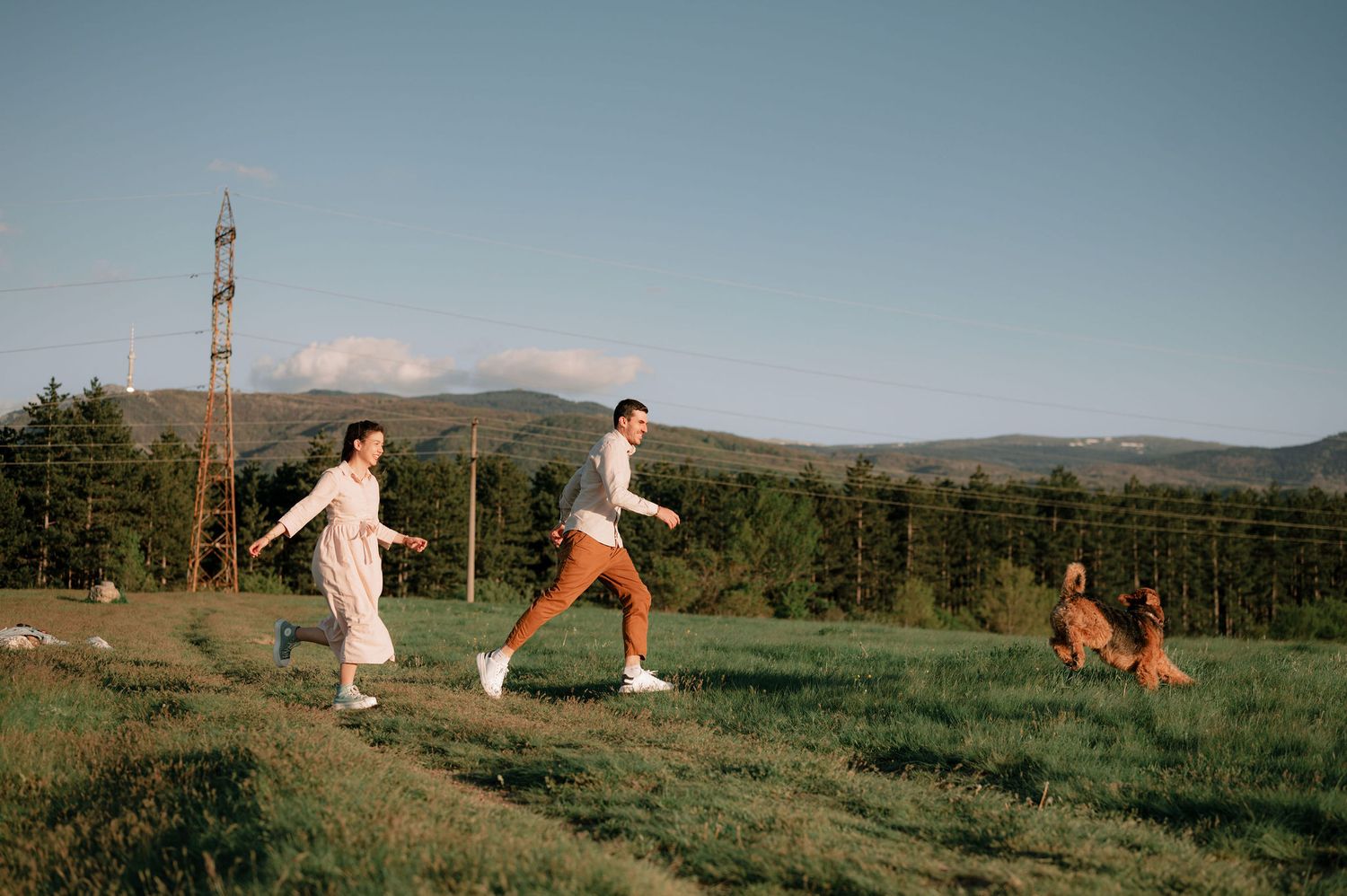 Friends and dogs play together in a sprawling mountain meadow landscape.