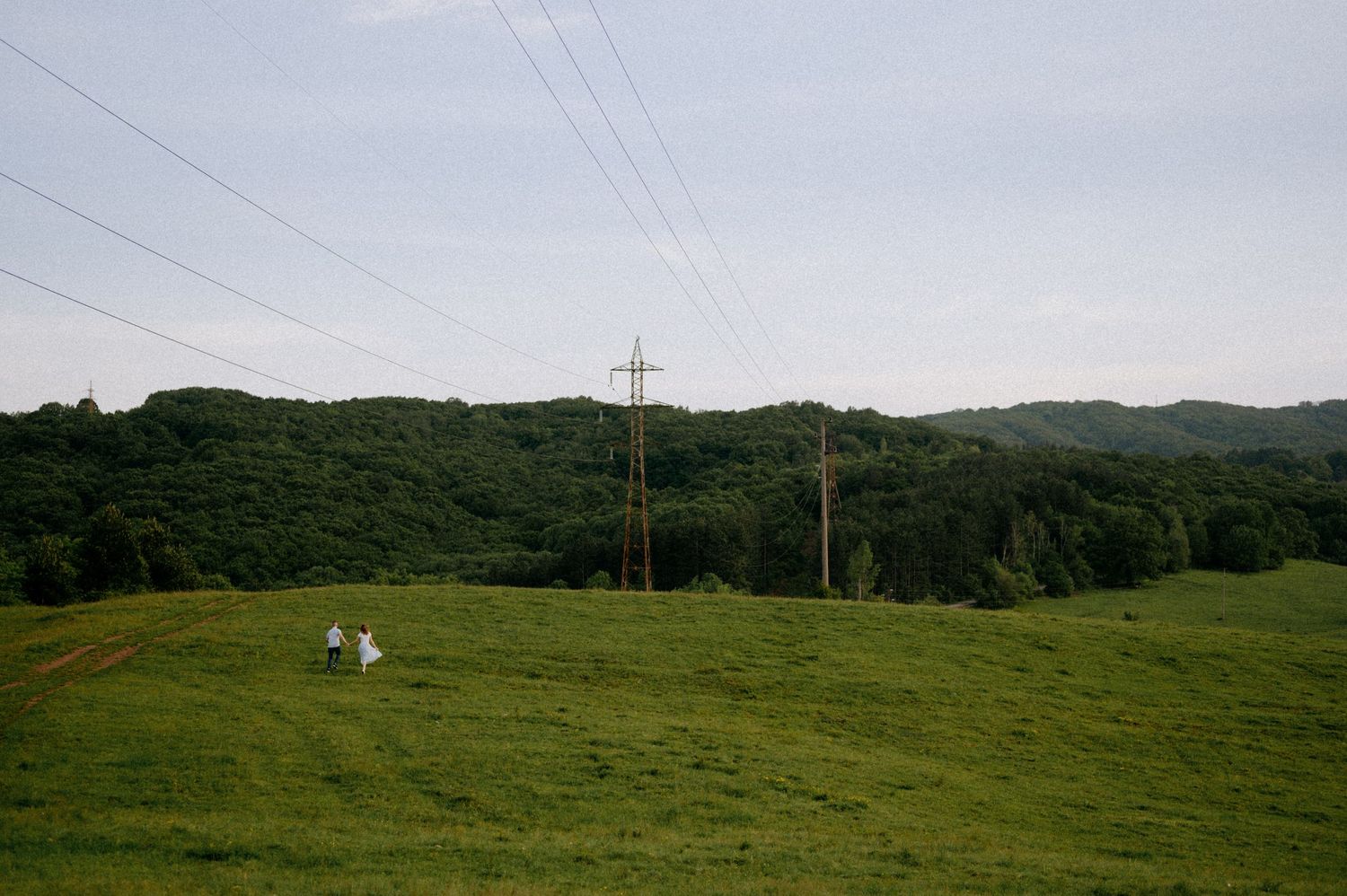 Wide-angle view of power lines traversing a lush green hillside with forest edges.