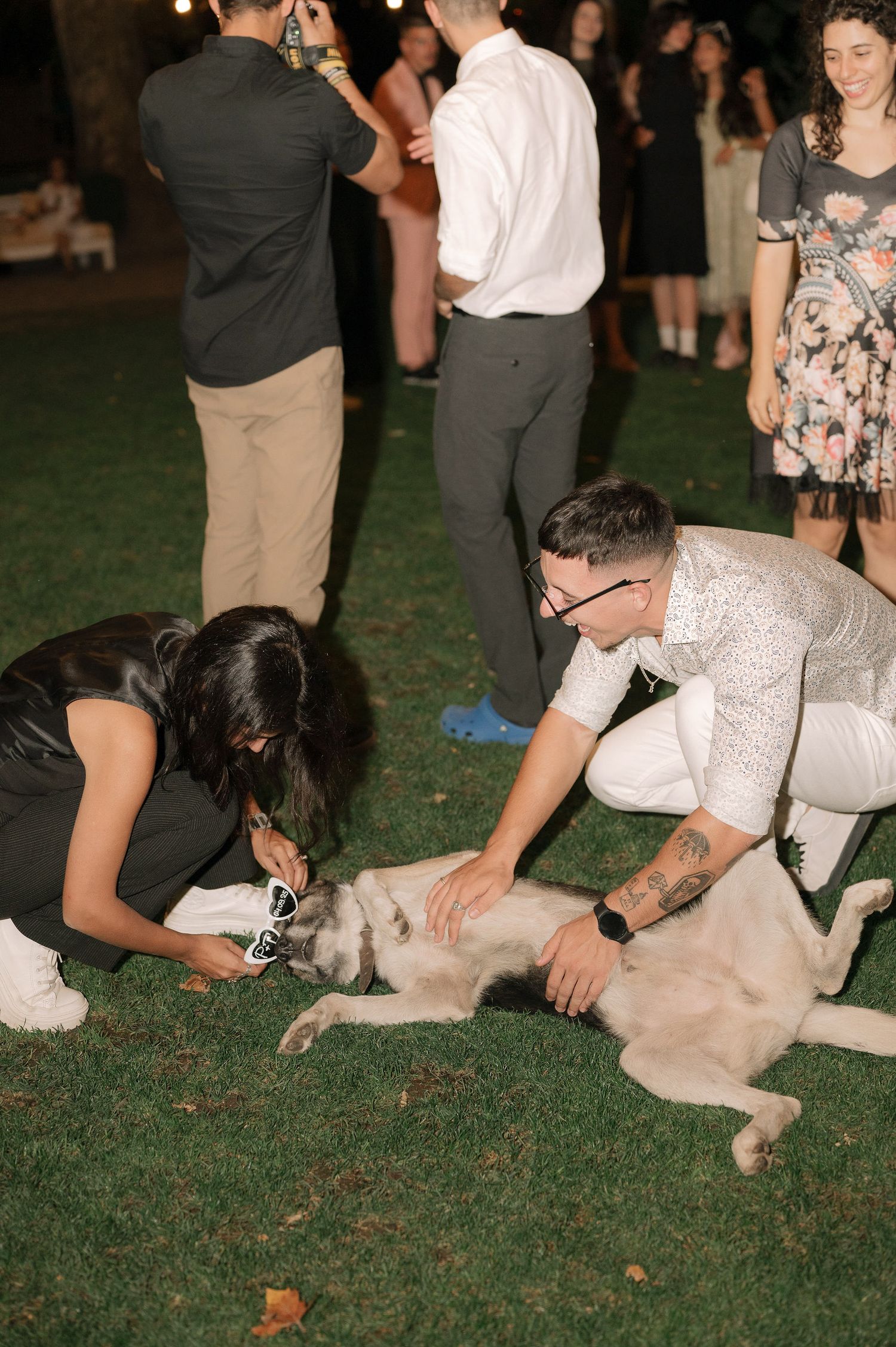 A dog lies on grass receiving belly rubs from people at an outdoor gathering.
