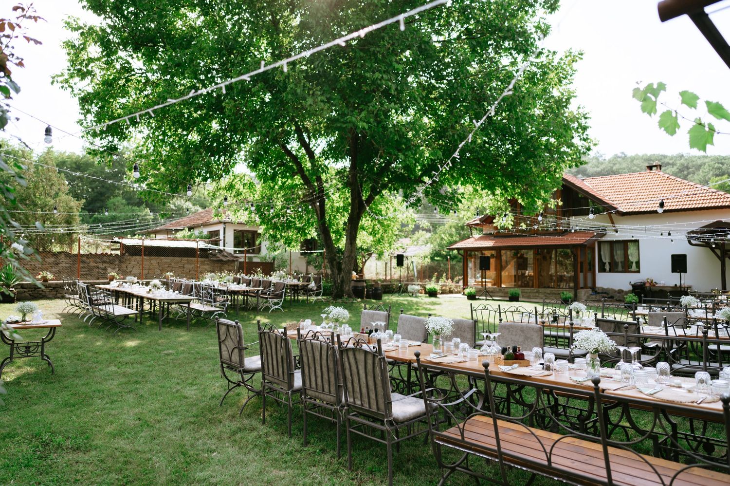 Garden wedding reception area with long tables arranged under tall green trees.