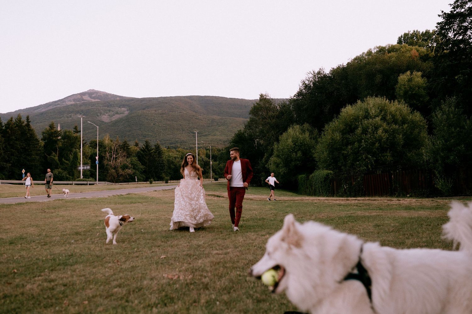 A couple and their dog enjoy a playful moment in a grassy field with mountains in the background.