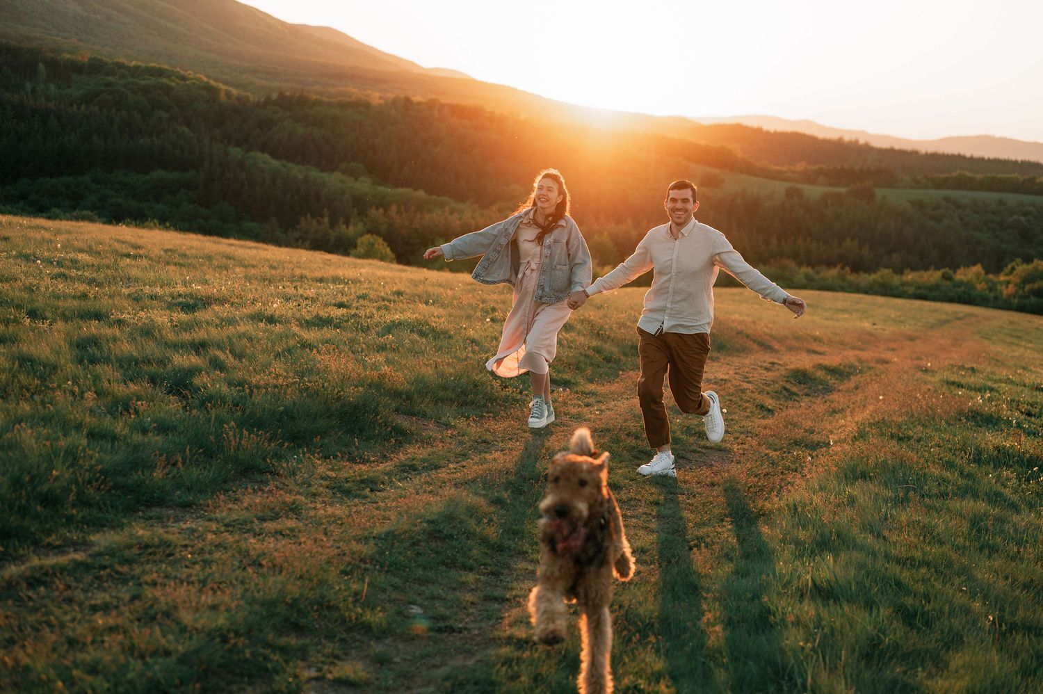 Couple holding hands and running through a golden hillside meadow at sunset while their dog follows behind them.