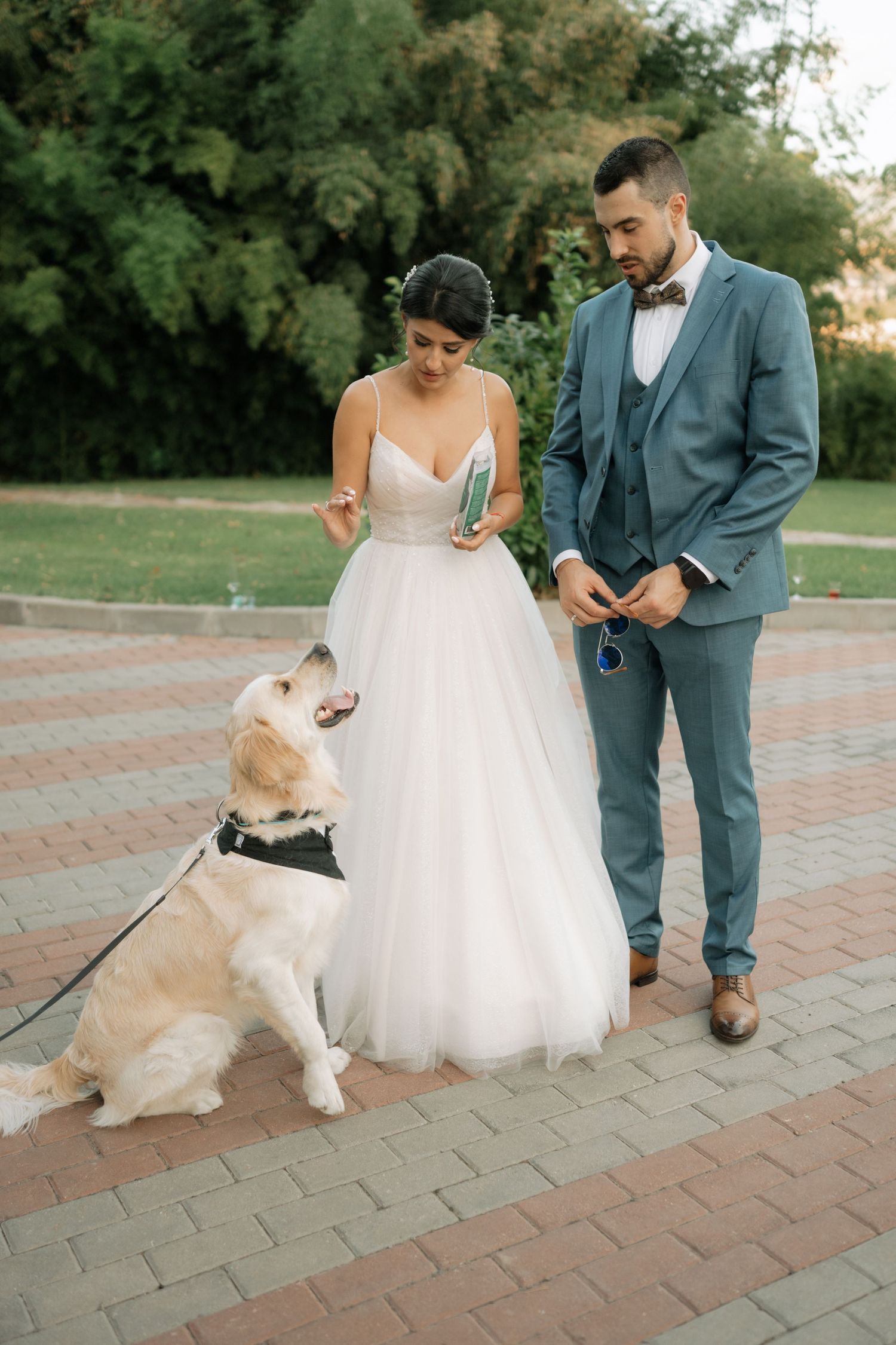 A couple in wedding attire stands on a brick path with their golden retriever who playfully interacts with them during photos.