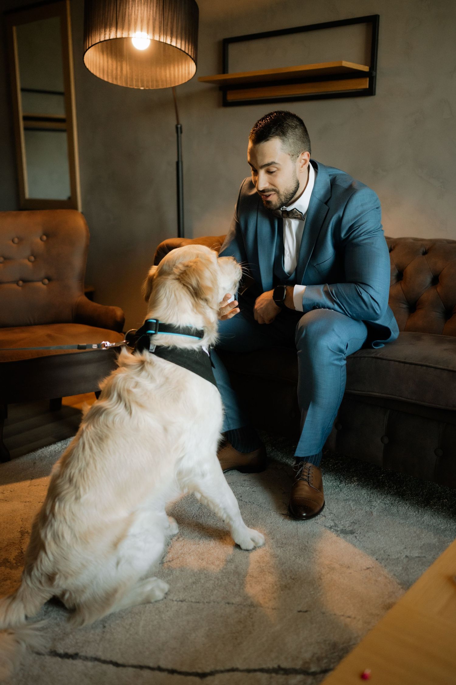 A golden retriever sits attentively next to someone wearing a blue suit in a cozy living room with mood lighting.