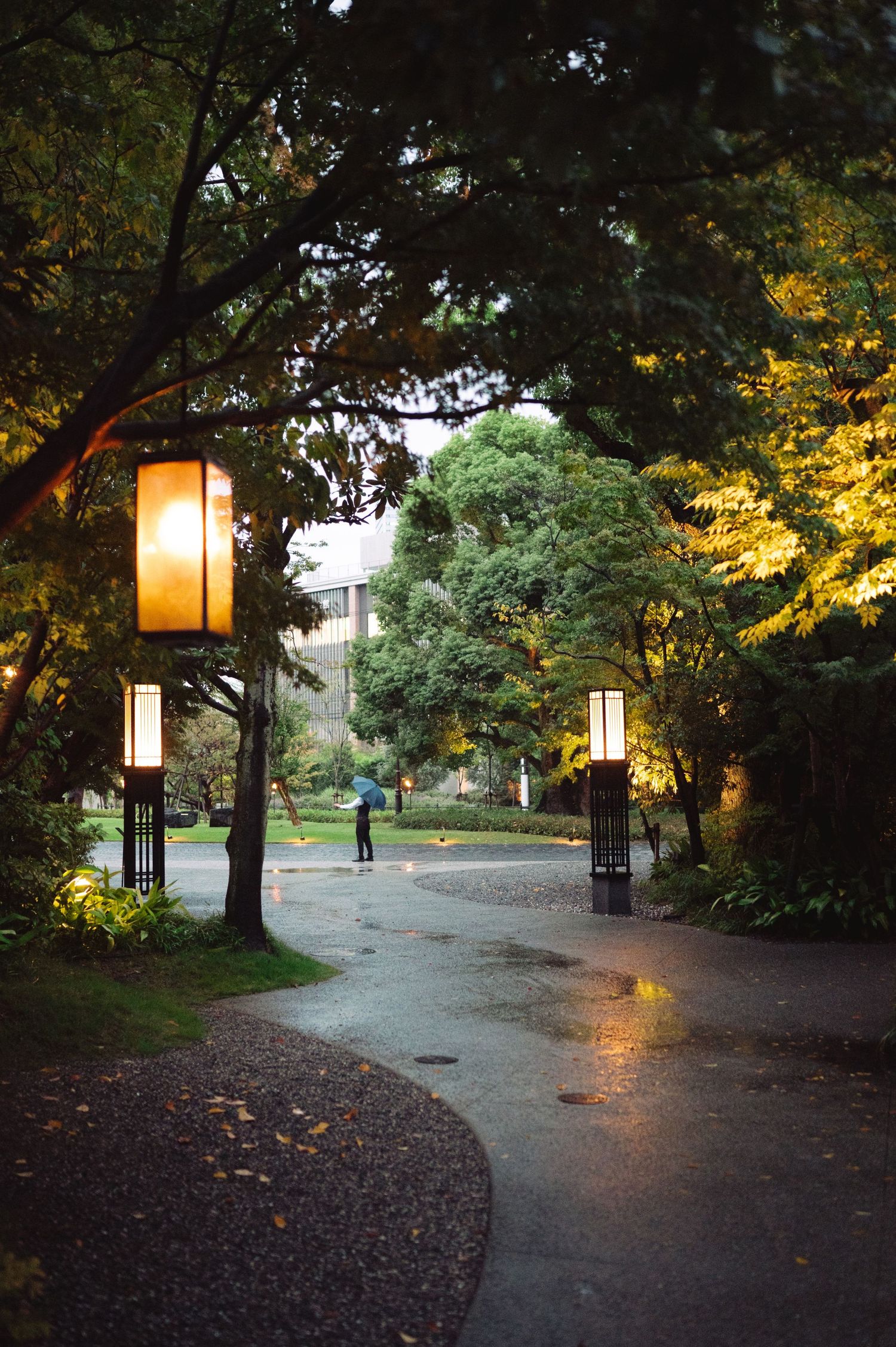 Illuminated pathway through autumn trees with glowing lanterns at dusk.