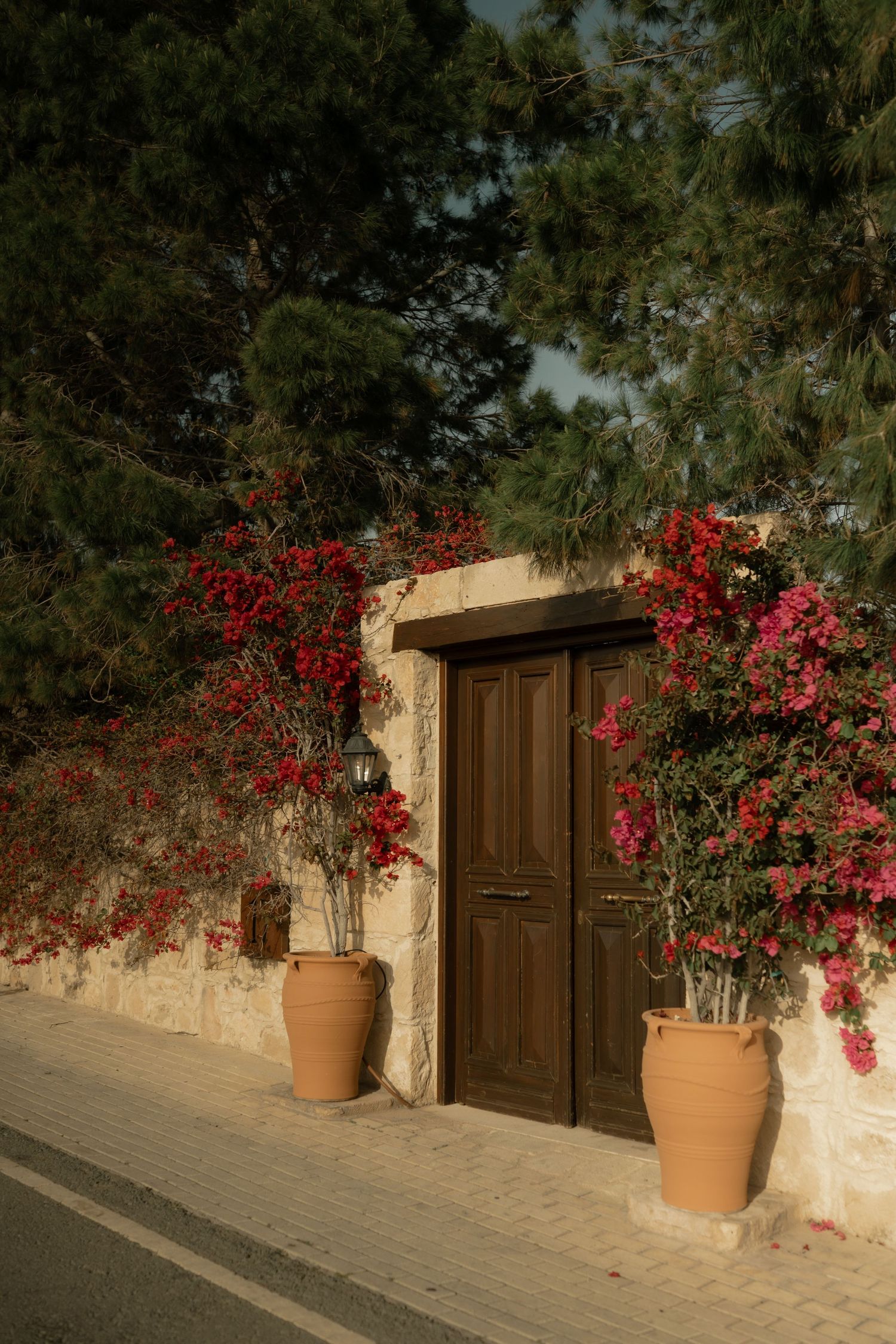 Rustic wooden door flanked by terracotta pots with red bougainvillea against a stone wall, surrounded by lush green trees.
