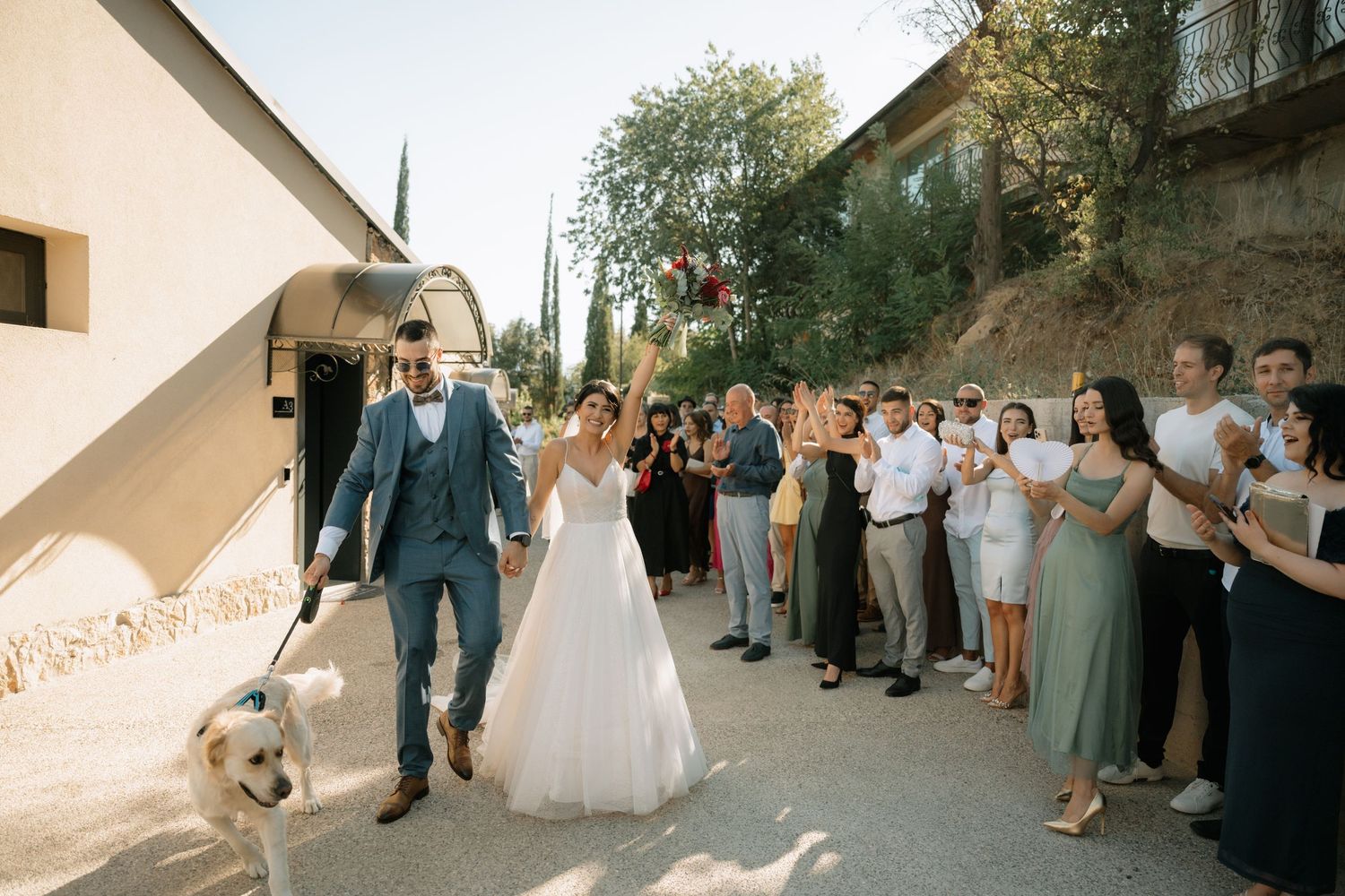A wedding procession walks down a sunlit street with guests looking on and a dog joining the celebration.