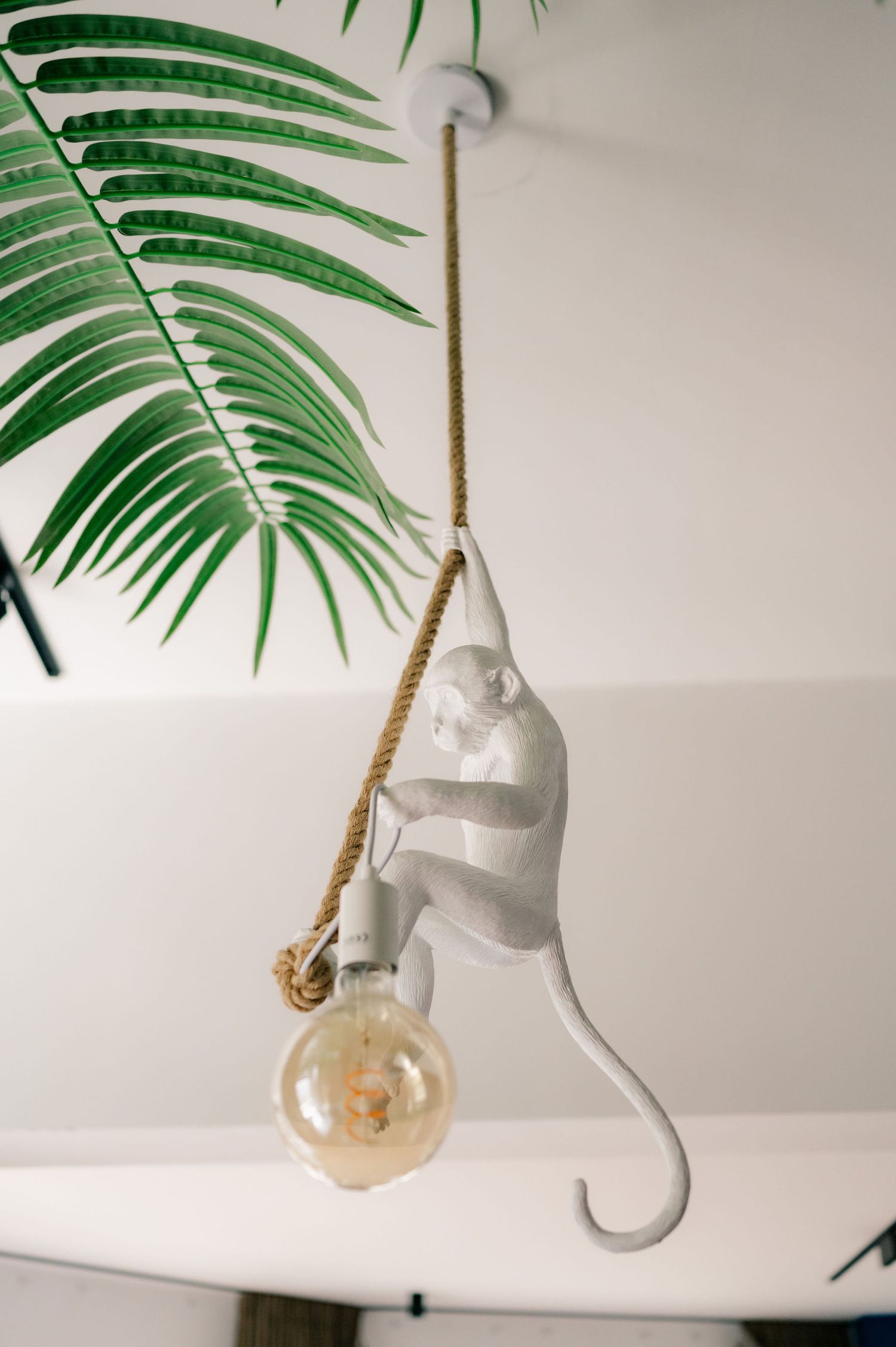 A white ceramic elephant planter hangs beneath a green palm frond against a white background.