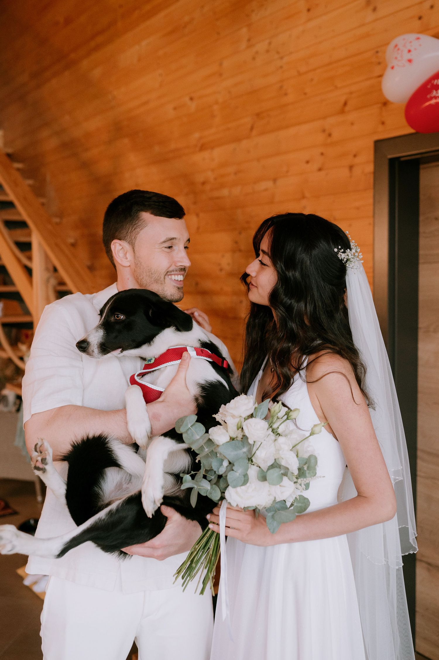 A wedding couple in white holds their black and white dog wearing a red bow tie indoors.