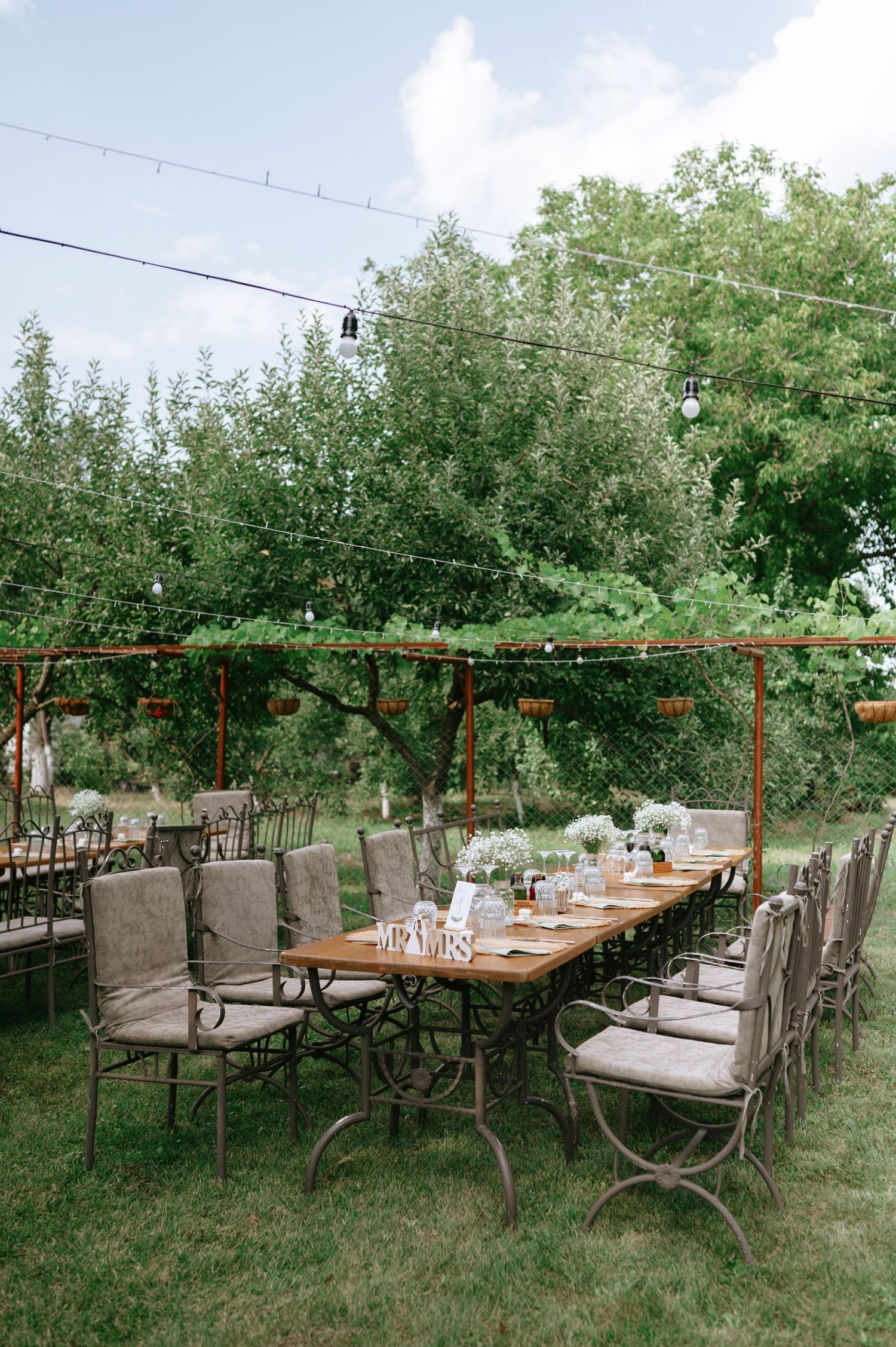 Long dining table with cushioned chairs set up outdoors under string lights and trees.