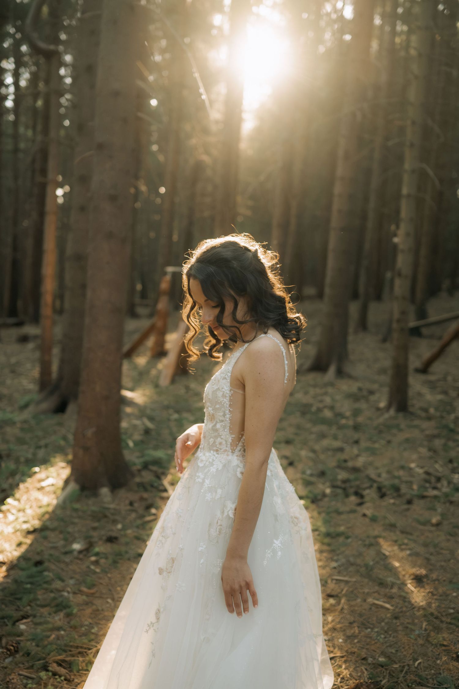 Bride in white lace gown standing in sunlit forest, golden hour light filtering through tall pine trees.