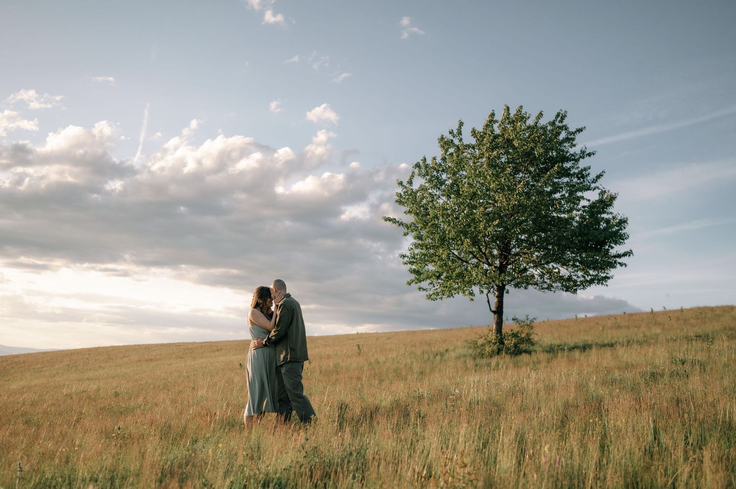 Couple embracing in golden meadow beside lone tree under dramatic cloudy sky at sunset.