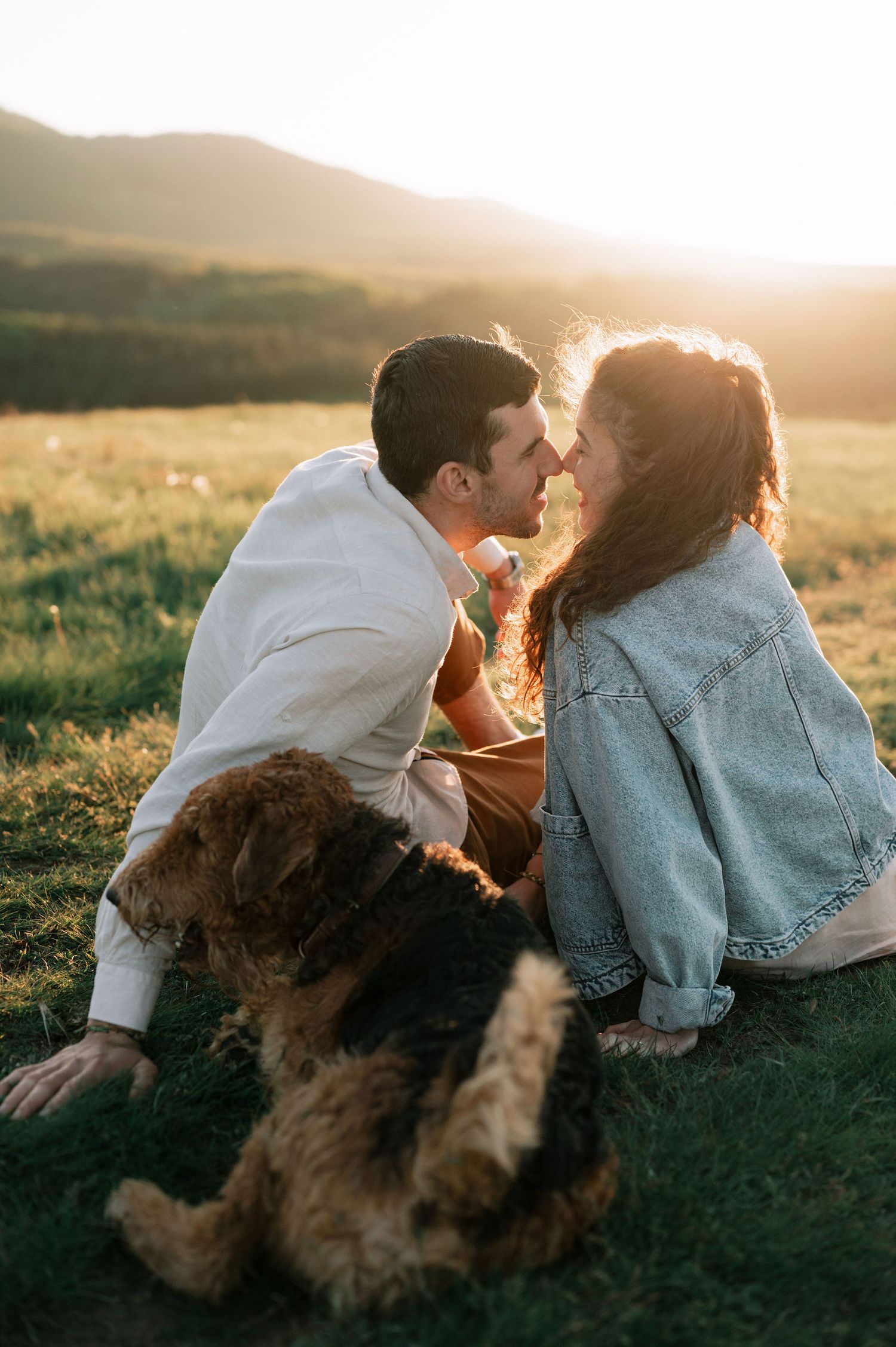 A couple and their fluffy dog share a tender moment on a sunlit hillside during golden hour.