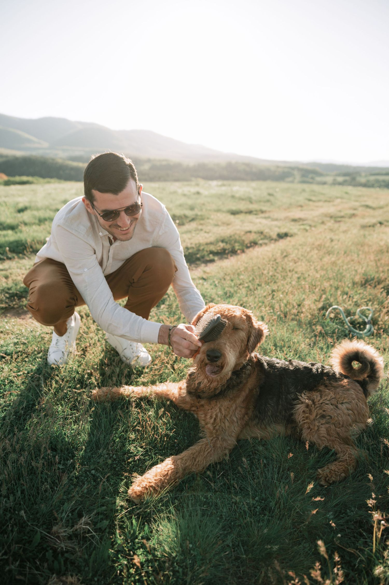 Person in white shirt playing with a fluffy brown dog in a sunlit meadow.
