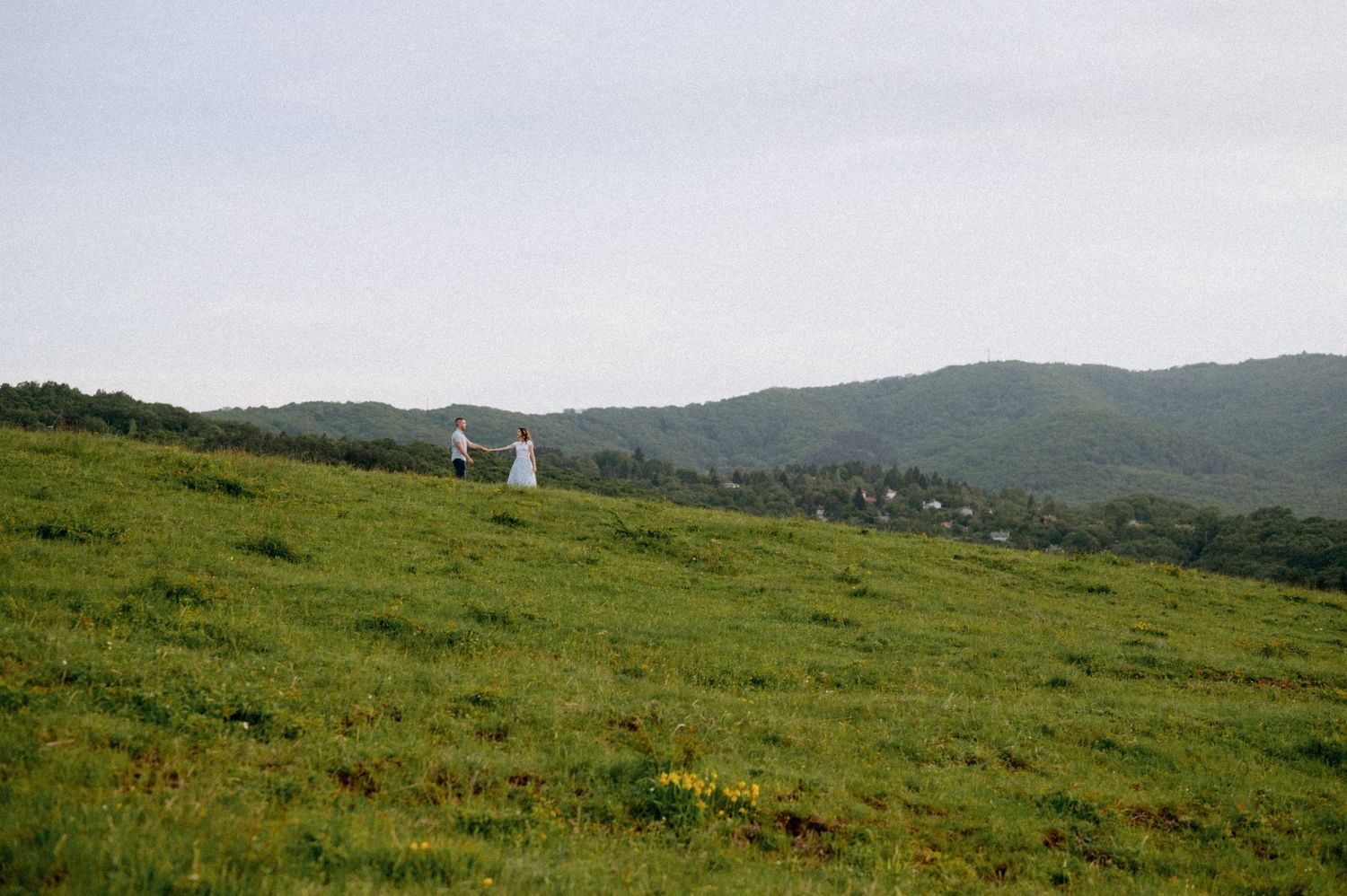 Expansive mountain vista with green pastures and distant hills under overcast sky.