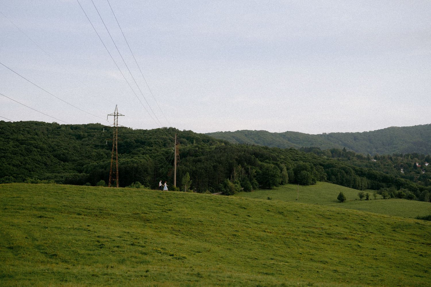 Rural hillside dotted with power transmission infrastructure against a forested backdrop.