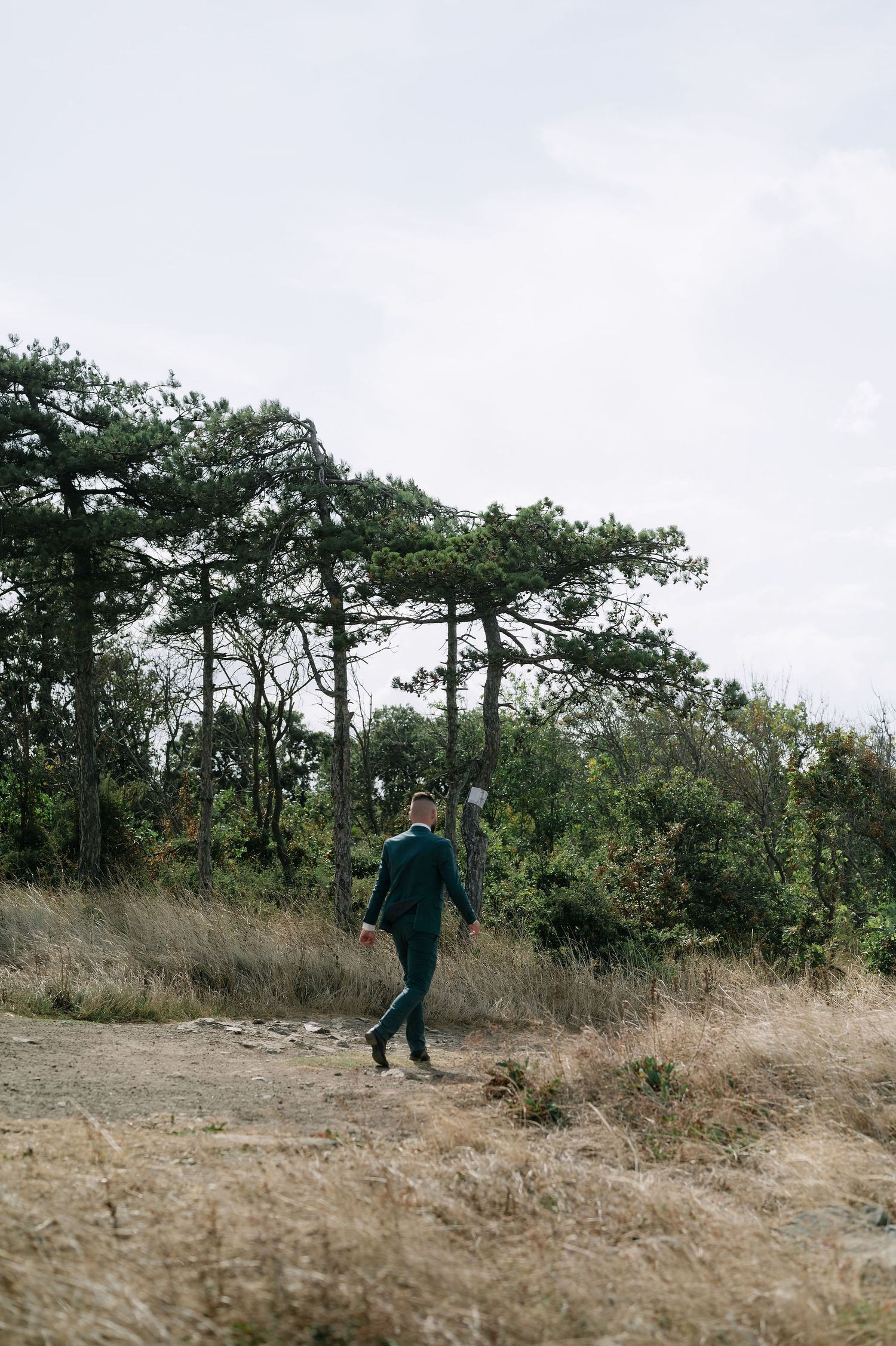 Person in dark suit walks along natural path with pine trees in background.