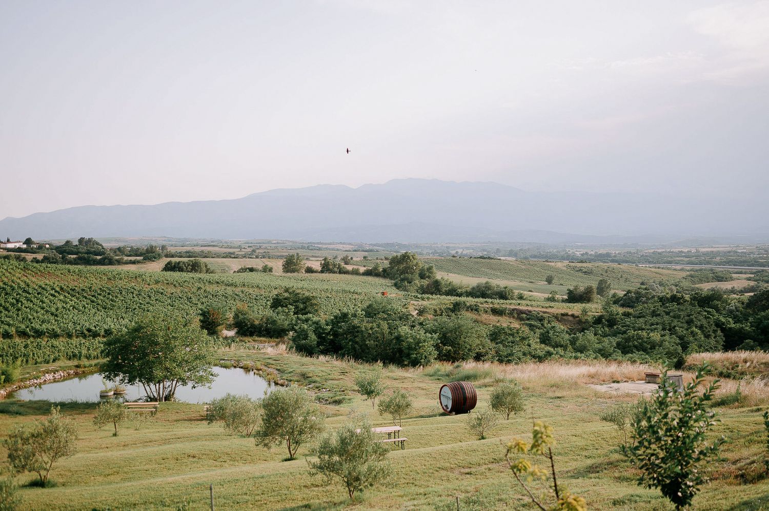 Panoramic view of rolling hills and countryside landscape with scattered buildings.